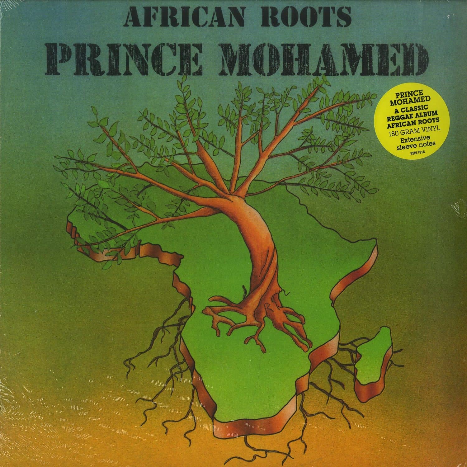 Prince Mohamed - AFRICAN ROOTS 