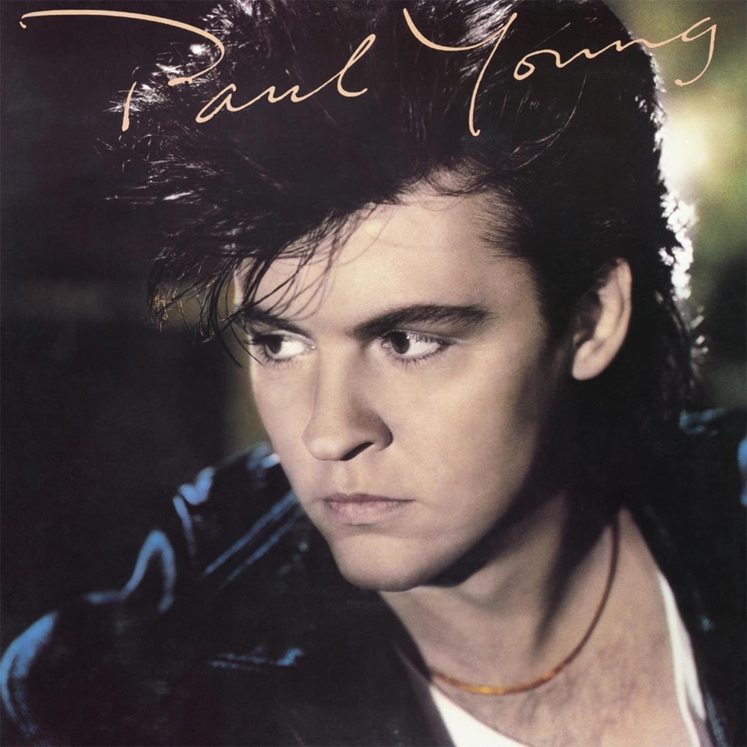 Paul Young - SECRET OF ASSOCIATION 