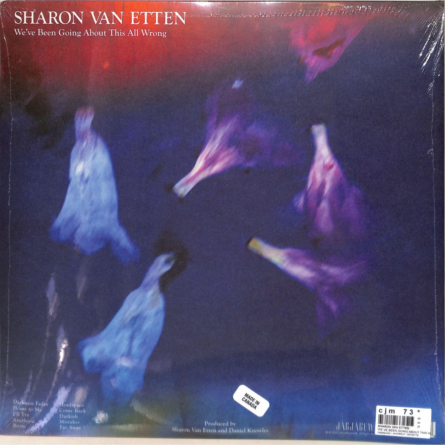 Sharon Van Etten - WE VE BEEN GOING ABOUT THIS ALL WRONG 