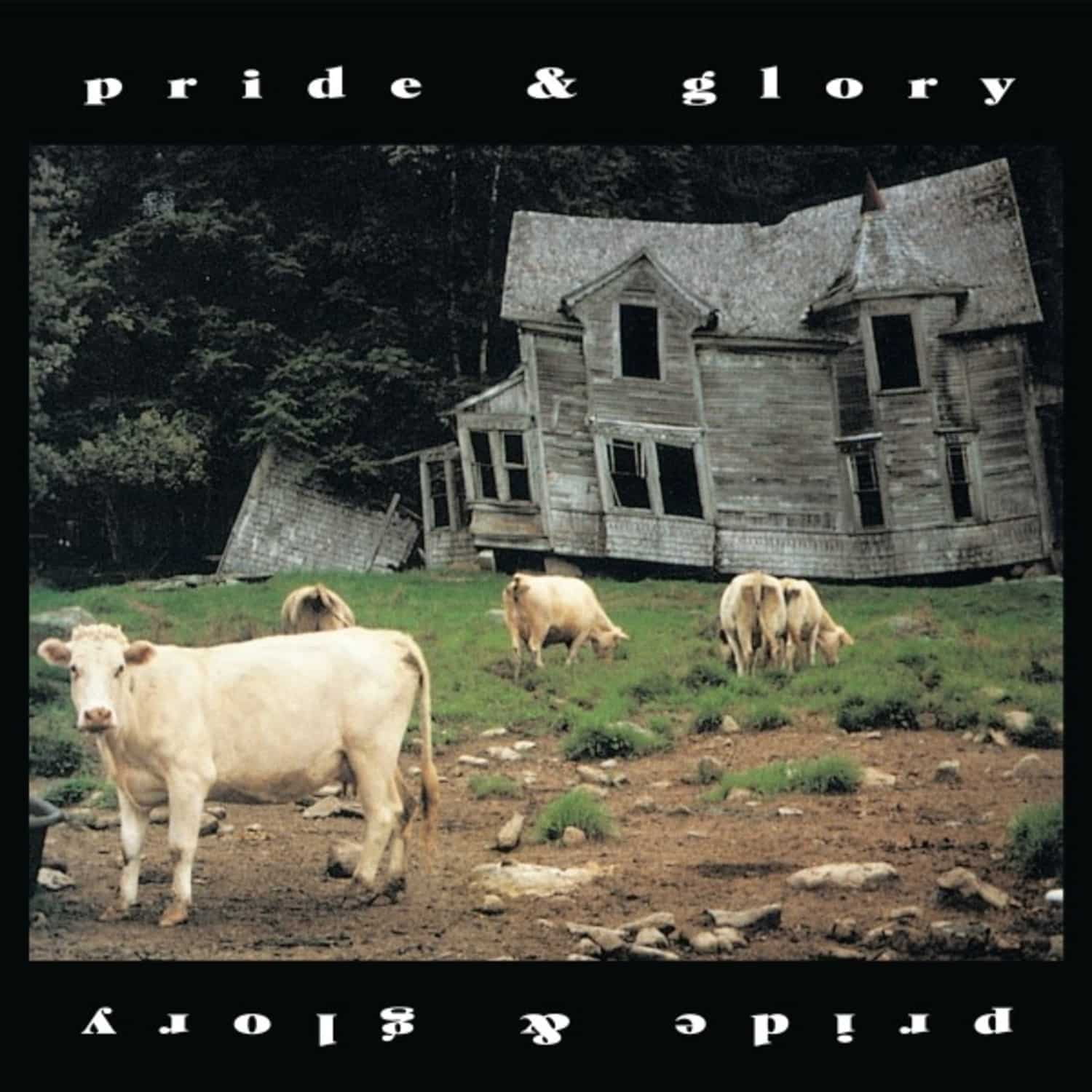 Pride & Glory - PRIDE & GLORY 