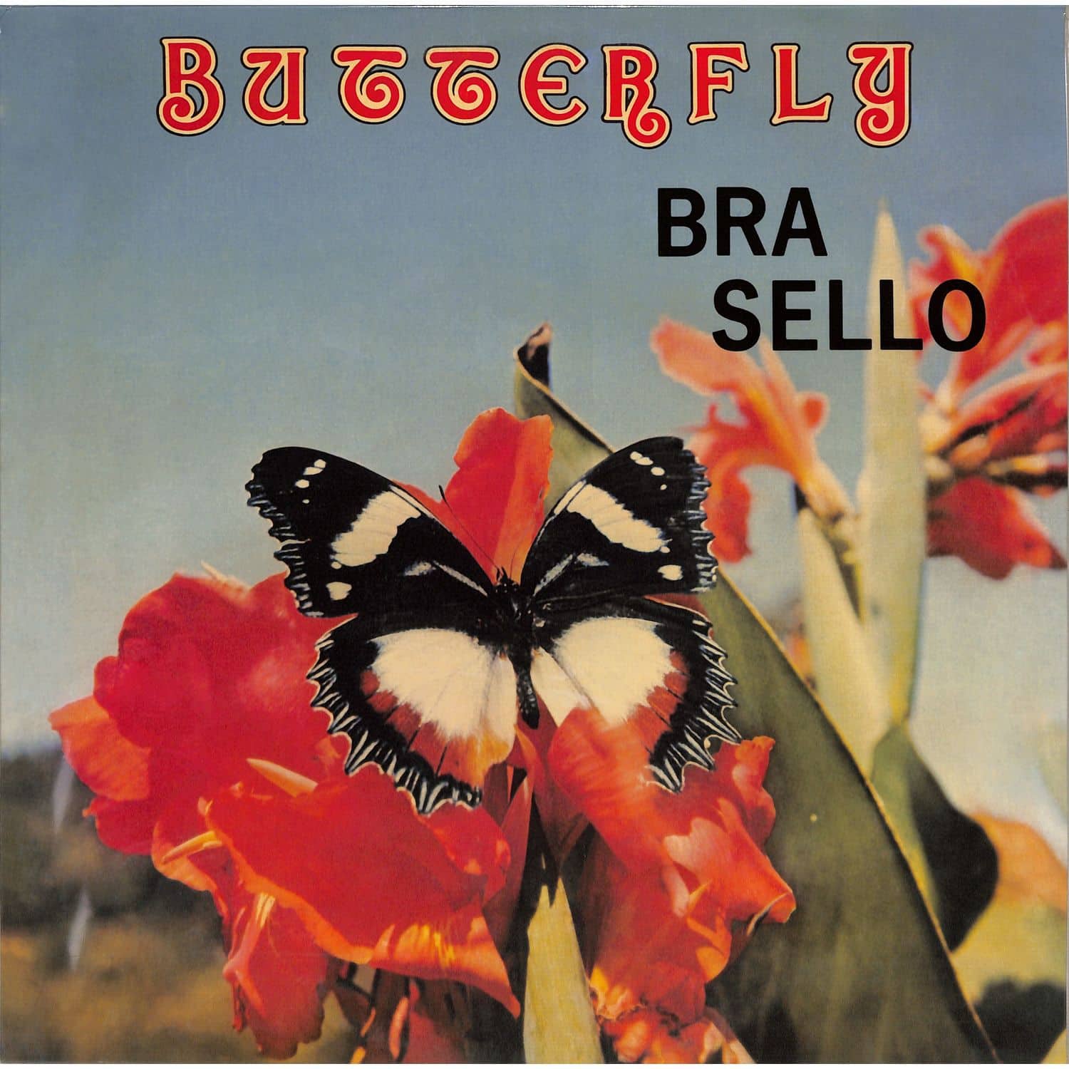 Bra Sello - BUTTERFLY 