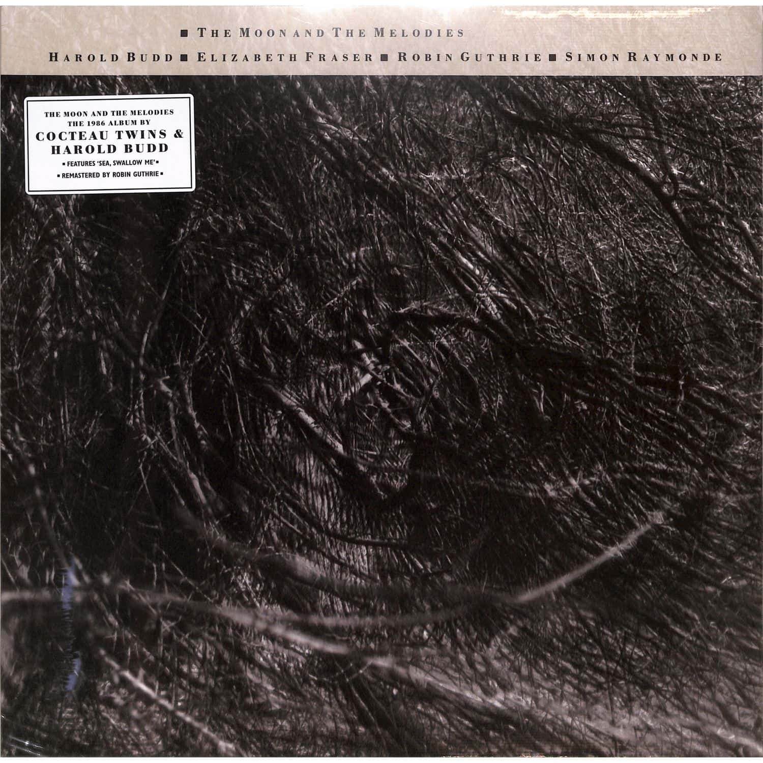 Cocteau Twins & Harold Budd - THE MOON & THE MELODIES 