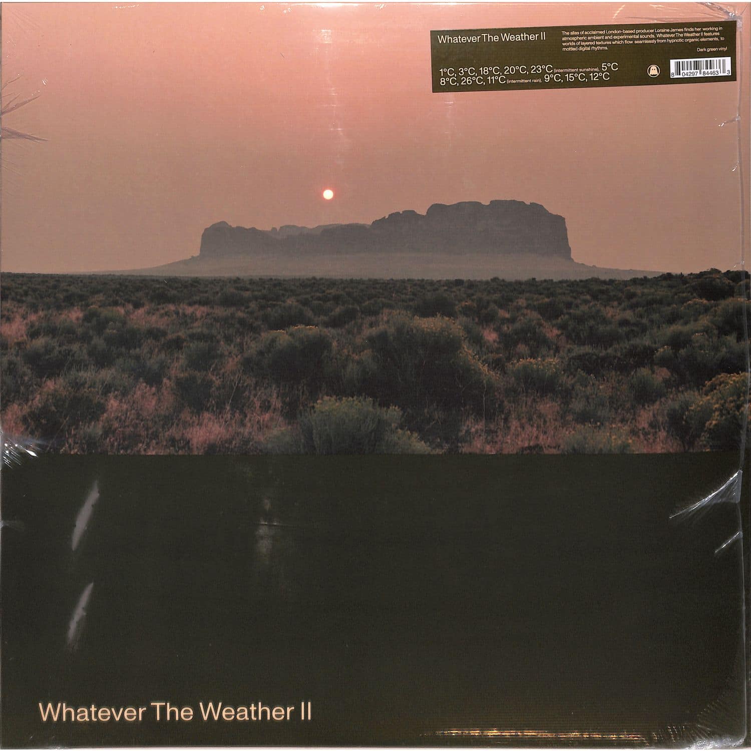 Whatever The Weather - WHATEVER THE WEATHER II 