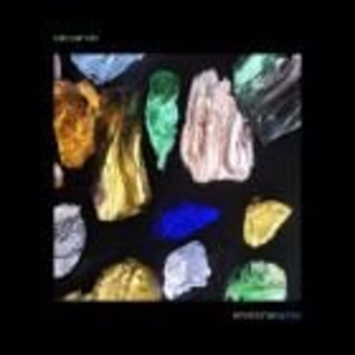 Cat Can Do - EMOTIONAL / APRES