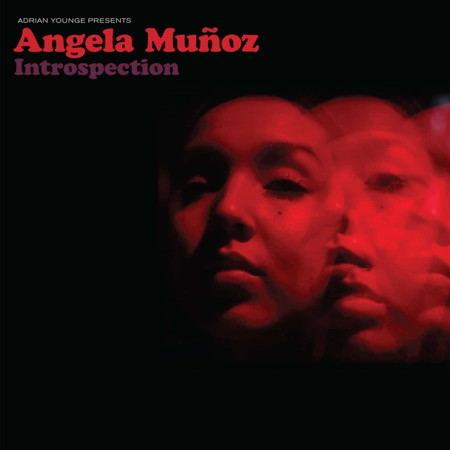 Adrian Younge & Angela Munoz - ADRIAN YOUNGE PRESENTS ANGELA MUNOZ 