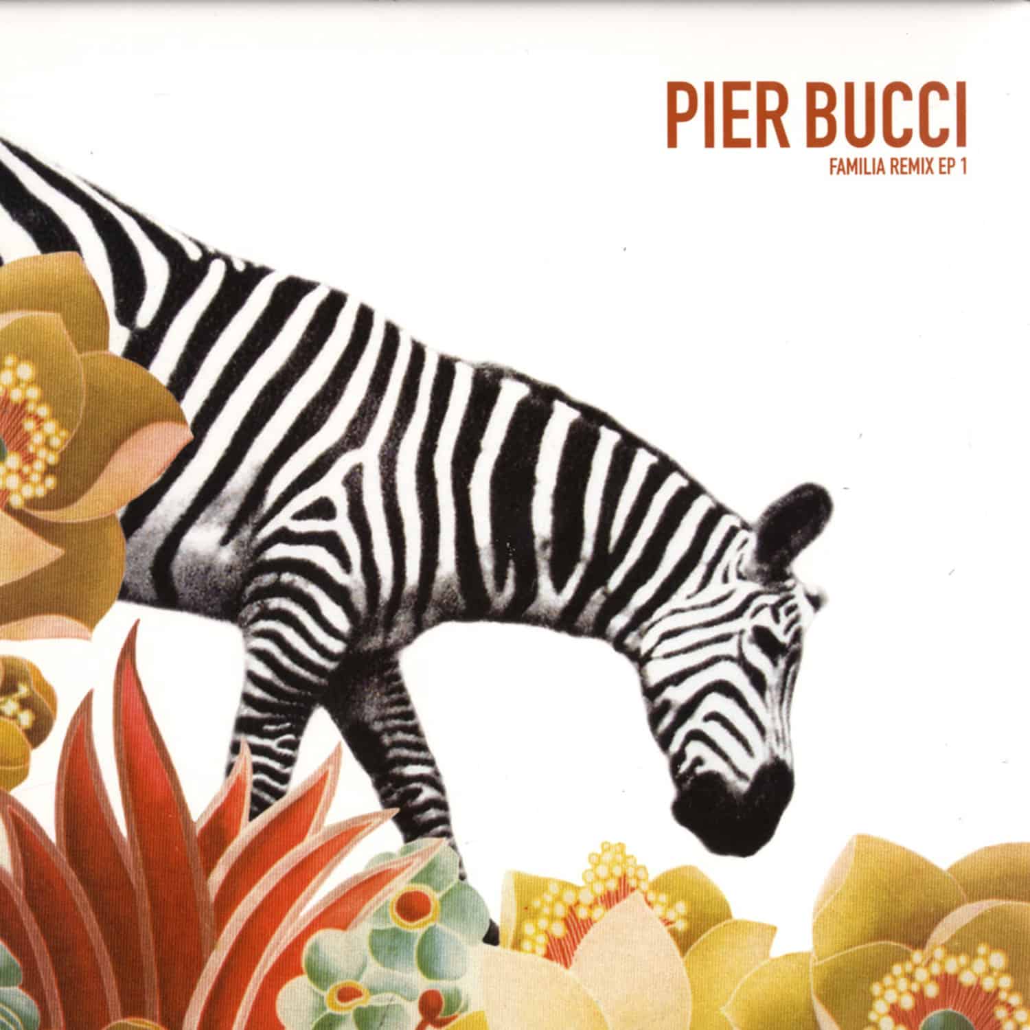 Pier Bucci - FAMILIA REMIX EP