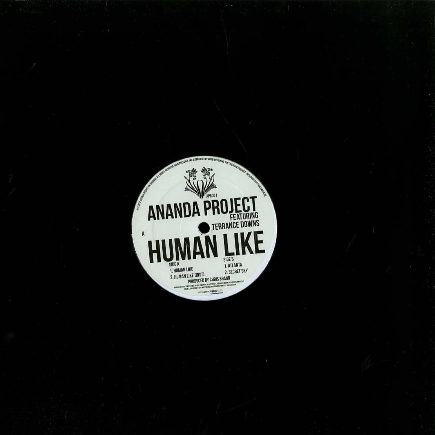 Ananda Project feat Terrance Downs - HUMAN LIKE EP