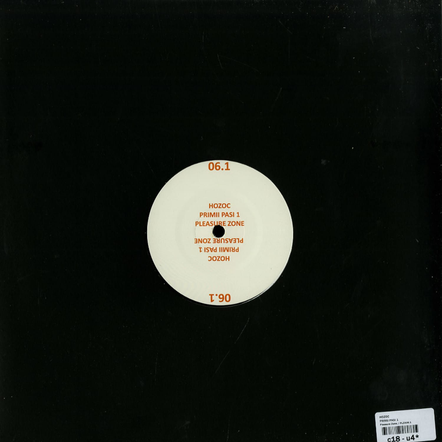 Hozoc - PRIMII PASI 1