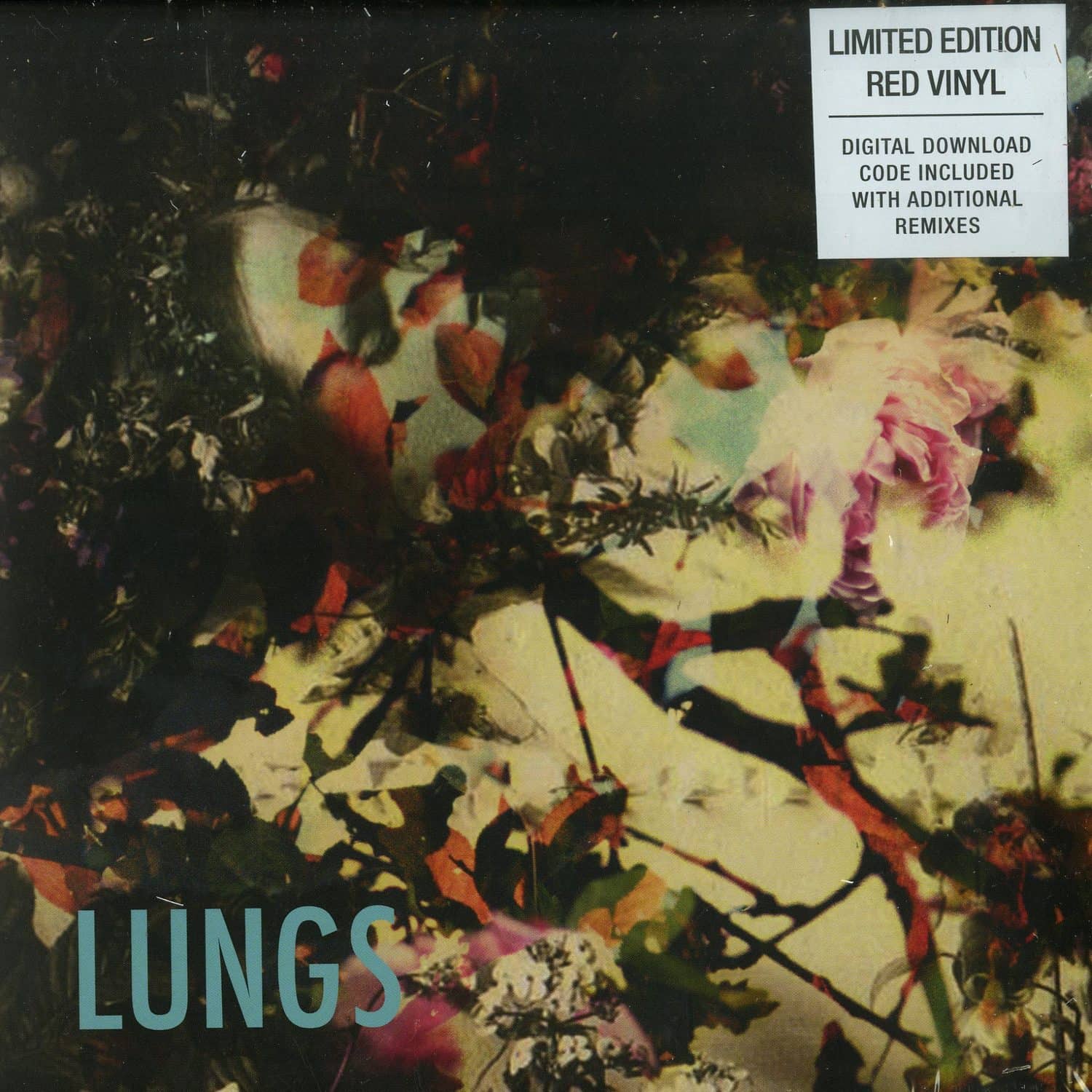 Lungs - NOT MINE 