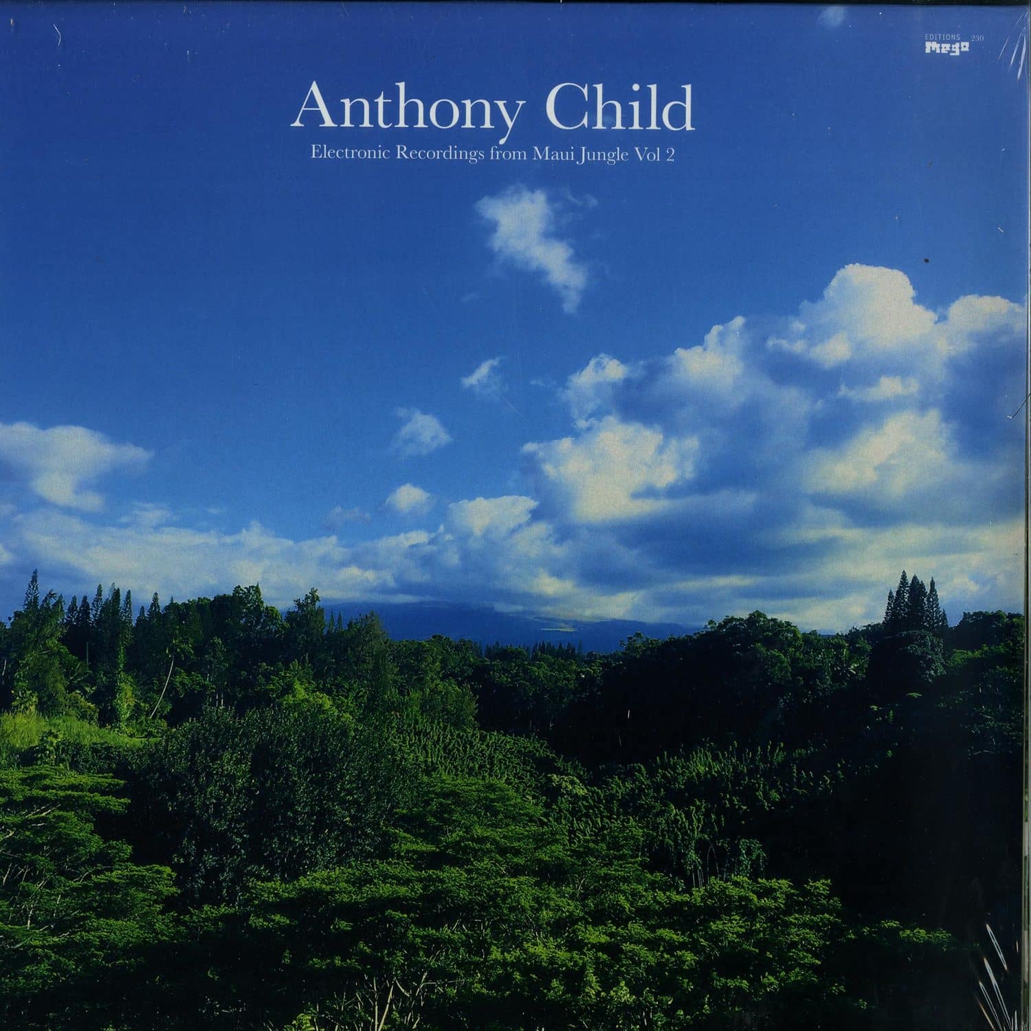 Anthony Child - ELECTRONIC RECORDINGS FROM MAUI JUNGLE VOL 2 