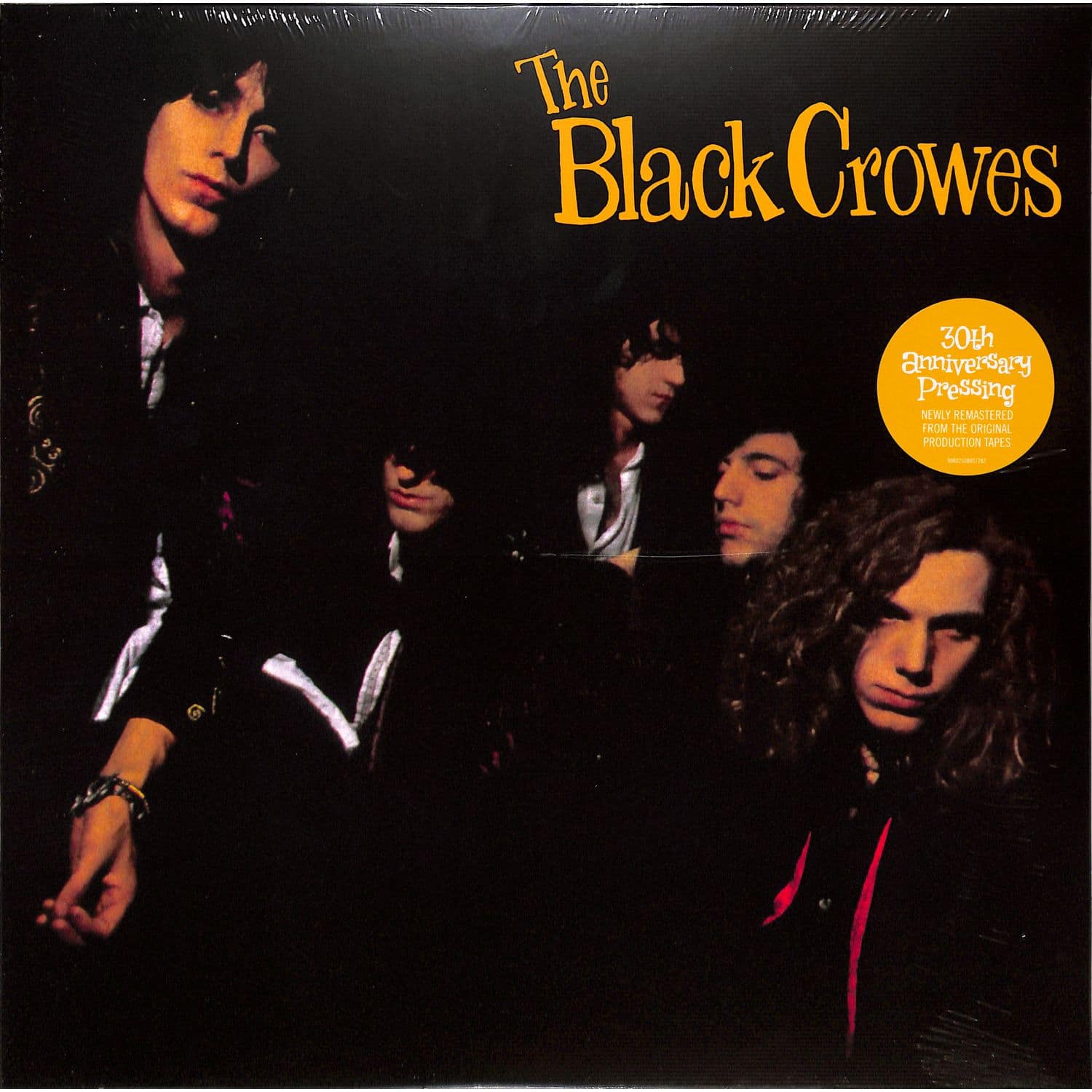 The Black Crowes - SHAKE YOUR MONEY MAKER 