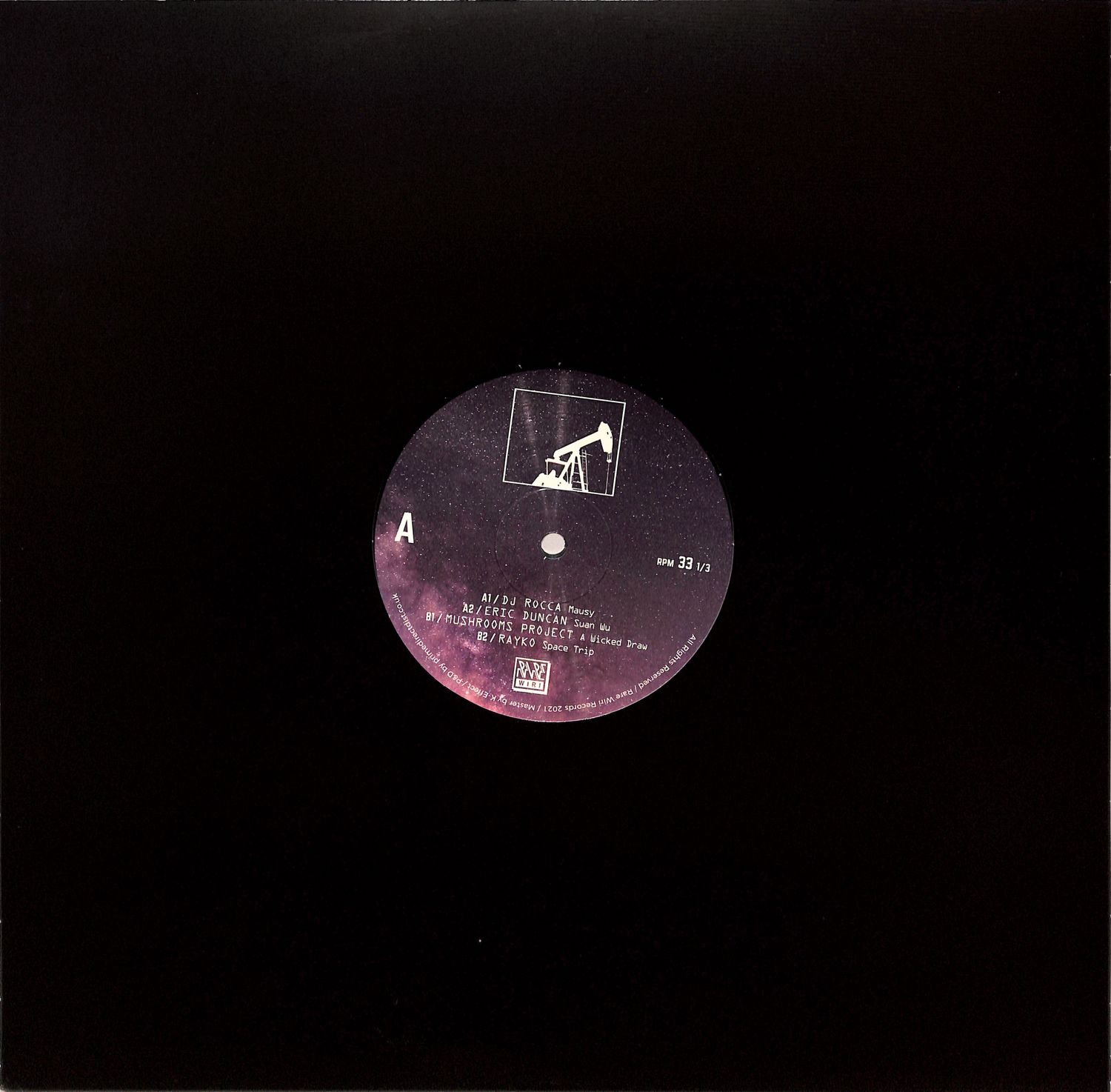 DJ Rocca / Eric Duncan / Mushrooms Project / Rayko - RARE WIRI 100TH