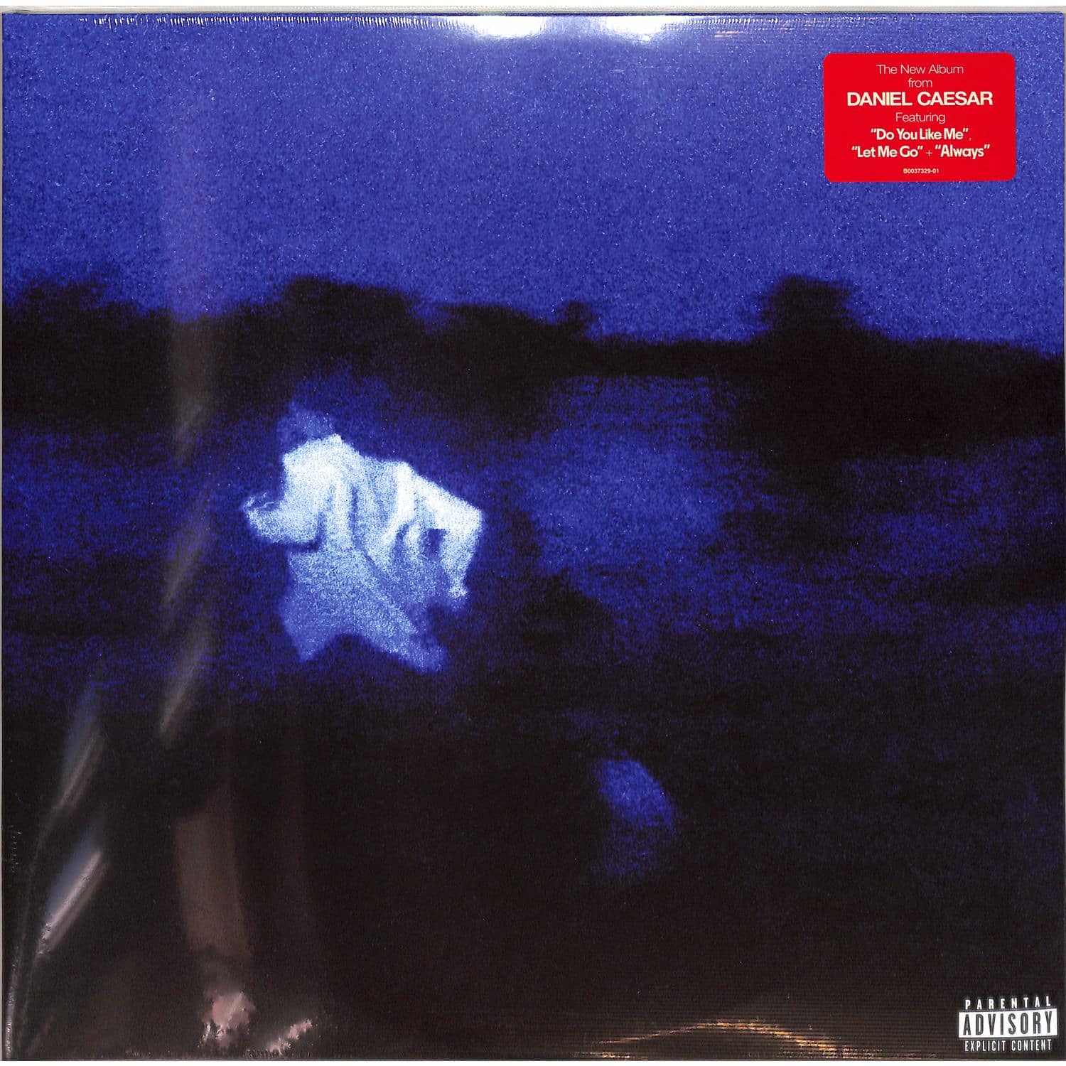 Daniel Caesar - NEVER ENOUGH 