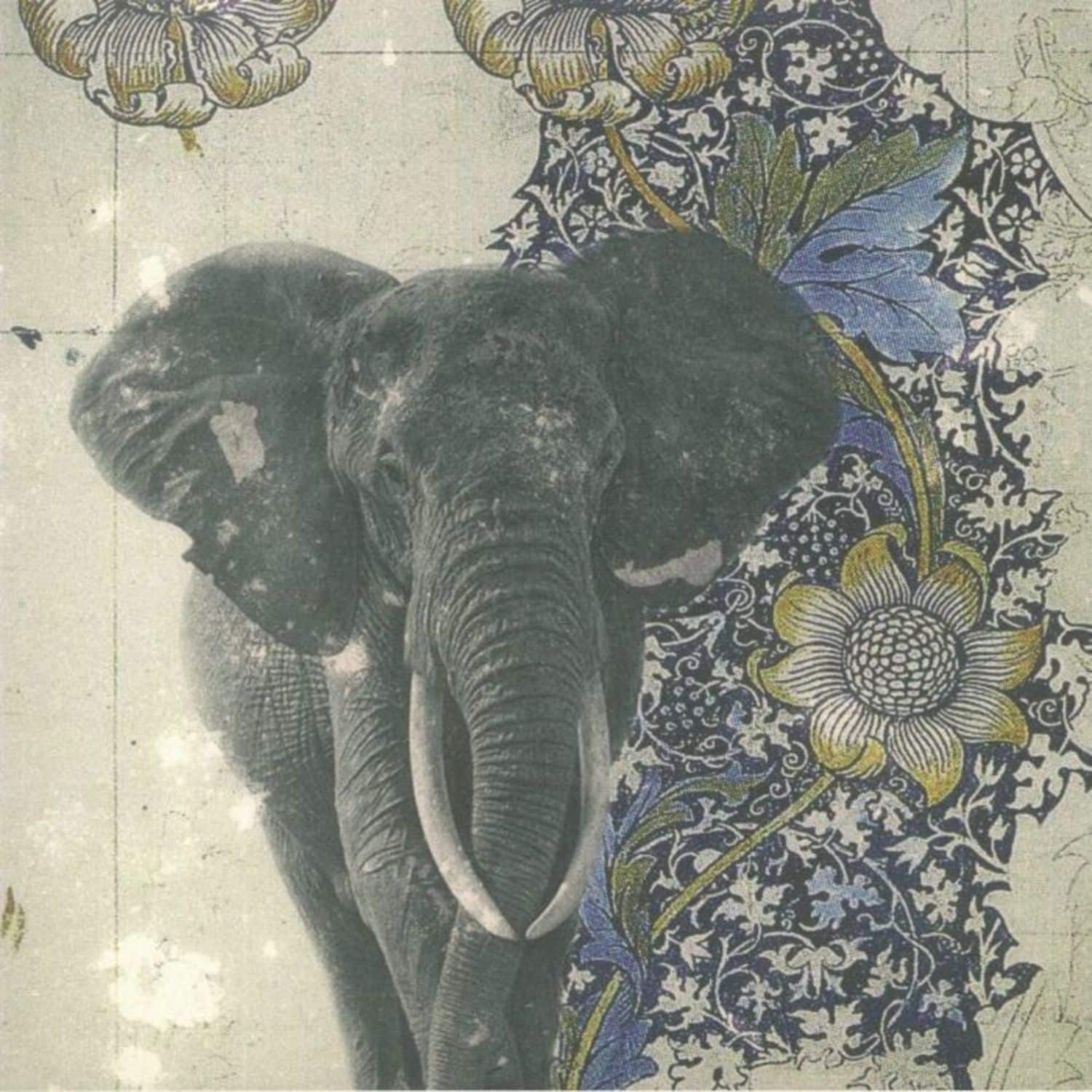 Sindaco - SPIRITUAL SAFARI