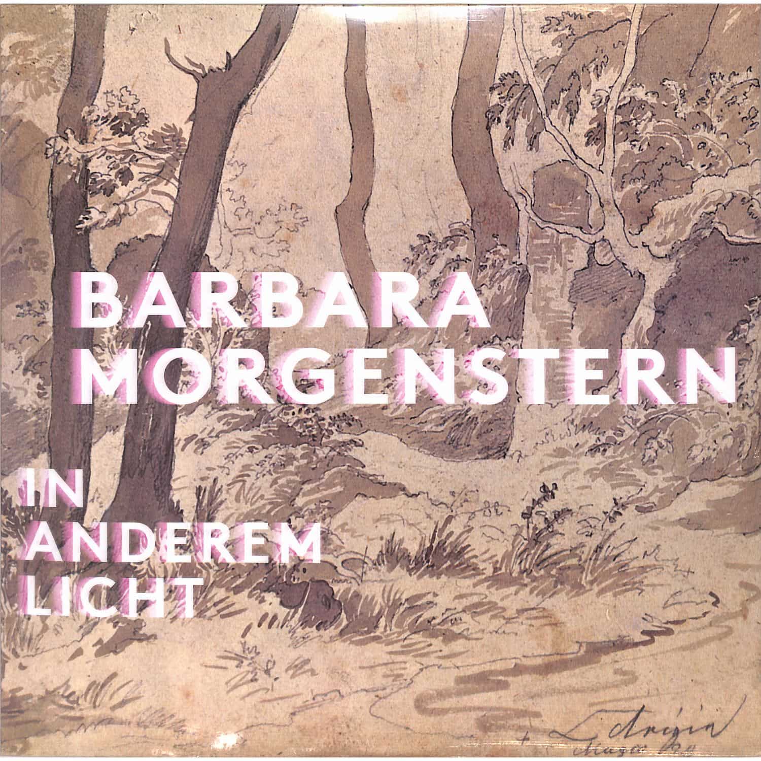 Barbara Morgenstern - IN ANDEREM LICHT 