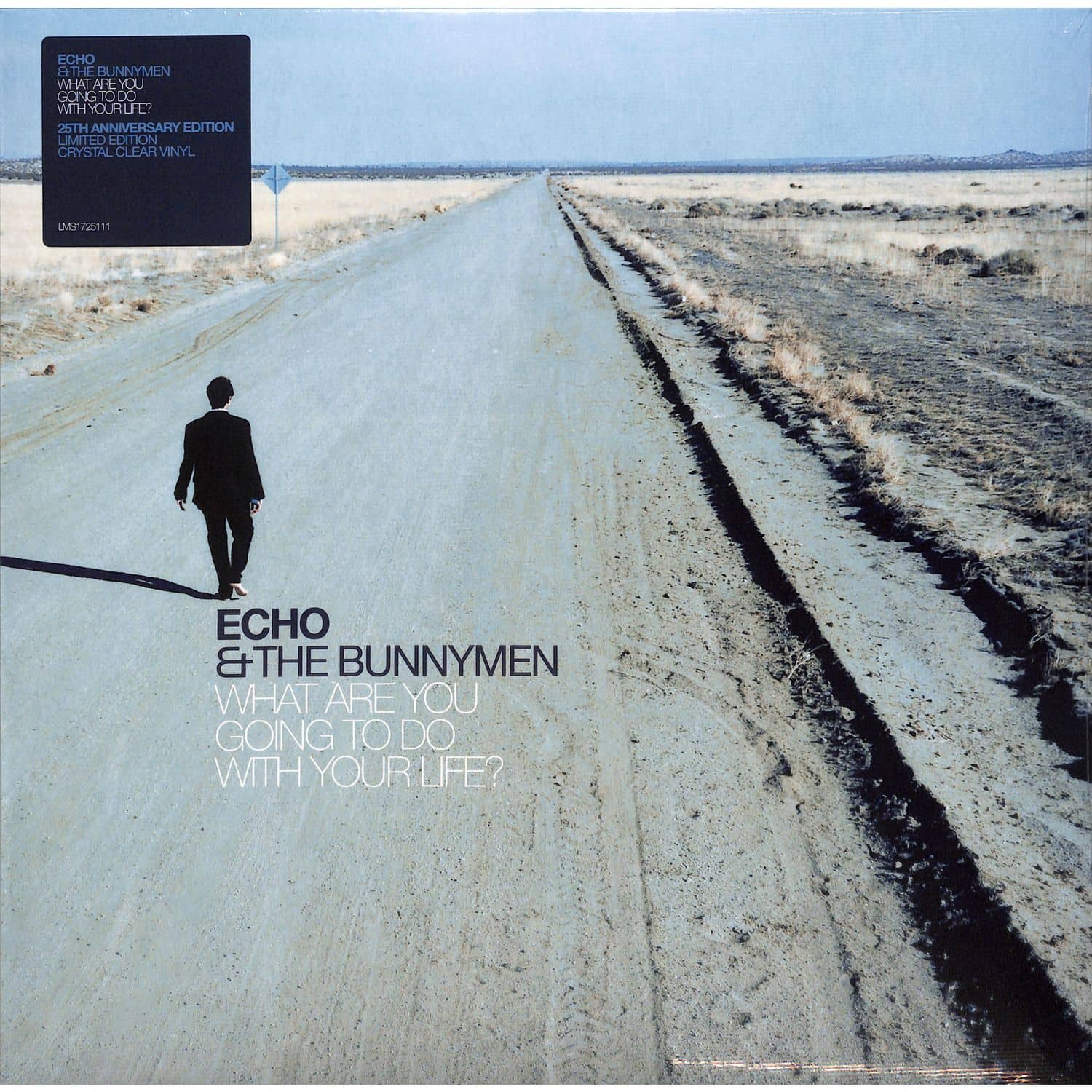 Echo and The Bunnymen - WHAT ARE YOU GOING TO DO WITH YOUR LIFE ? 