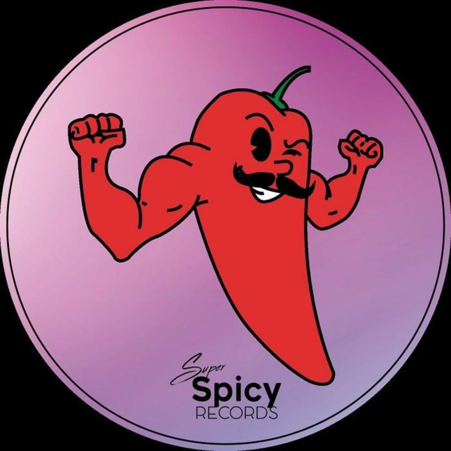 Monsieur Van Pratt / Voyager 909 / Disco 86 / Diego Palomar / Edson Agiss / Rob Castillo - SUPER SPICY RECIPE VOL 8
