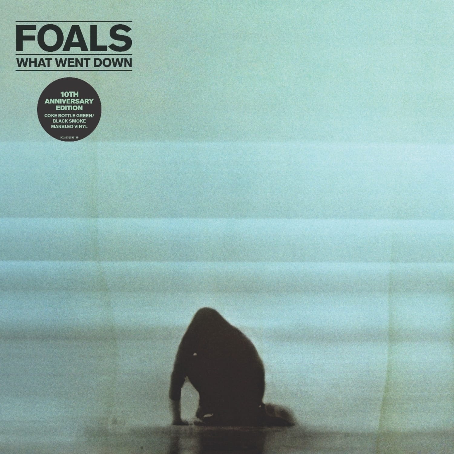 Foals - WHAT WENT DOWN 