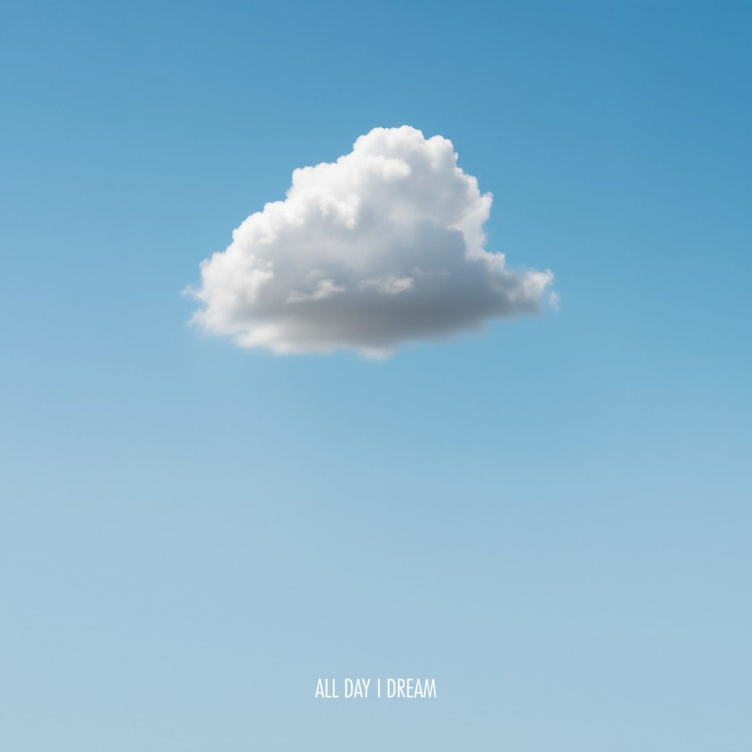 Amand & Capoon - OUVERTURE