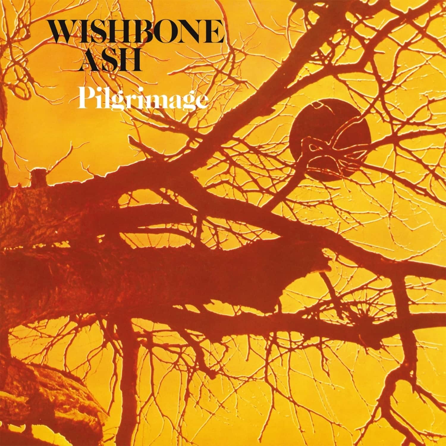 Wishbone Ash - PILGRIMAGE