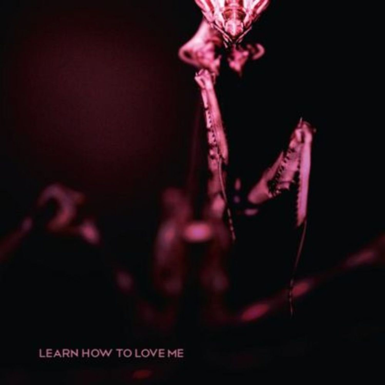 Stareaway - LEARN HOW TO LOVE ME, YORUBA RMX