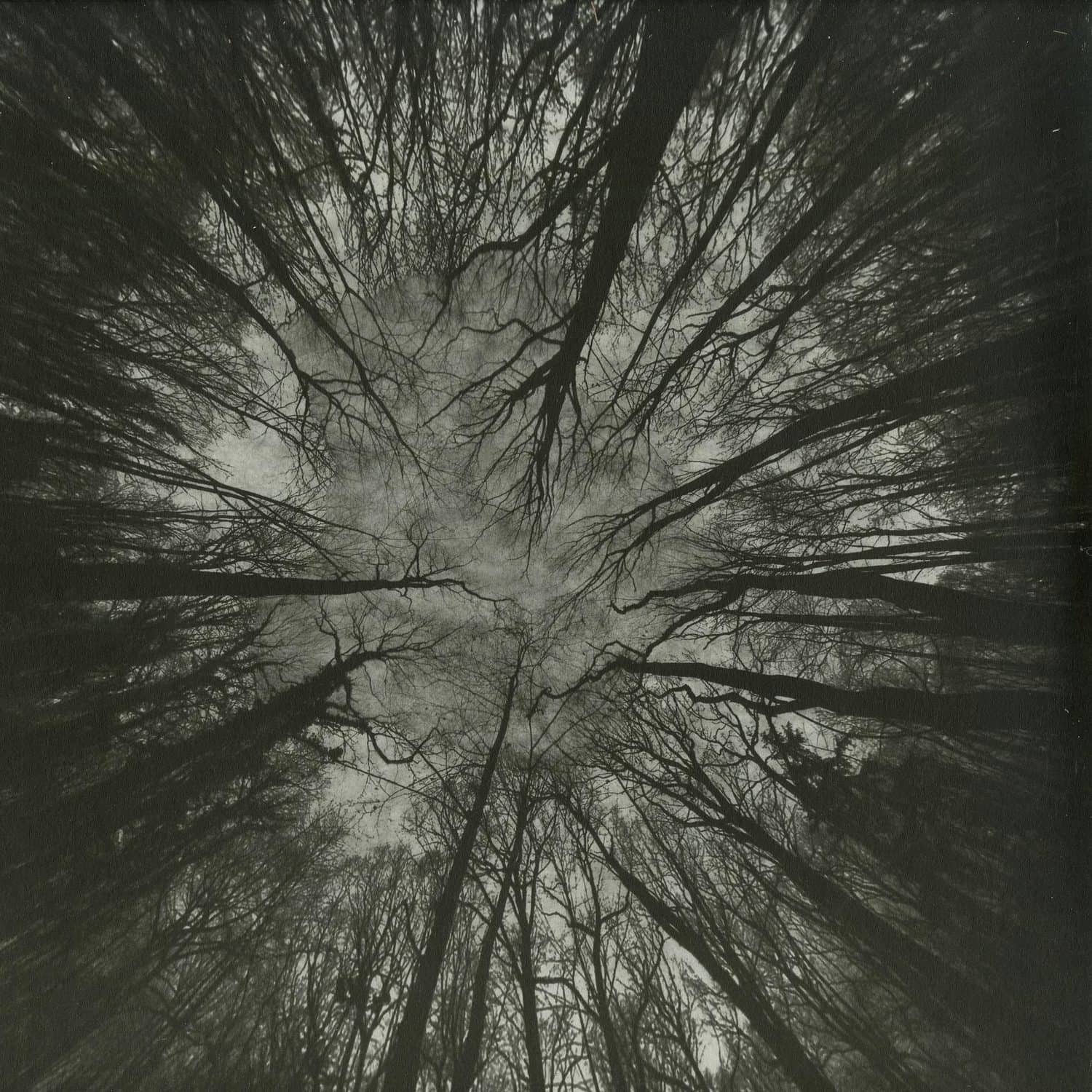 James Ginzburg & Yair Elazar Glotman - NIMBES - ORIGINAL SOUNDTRACK