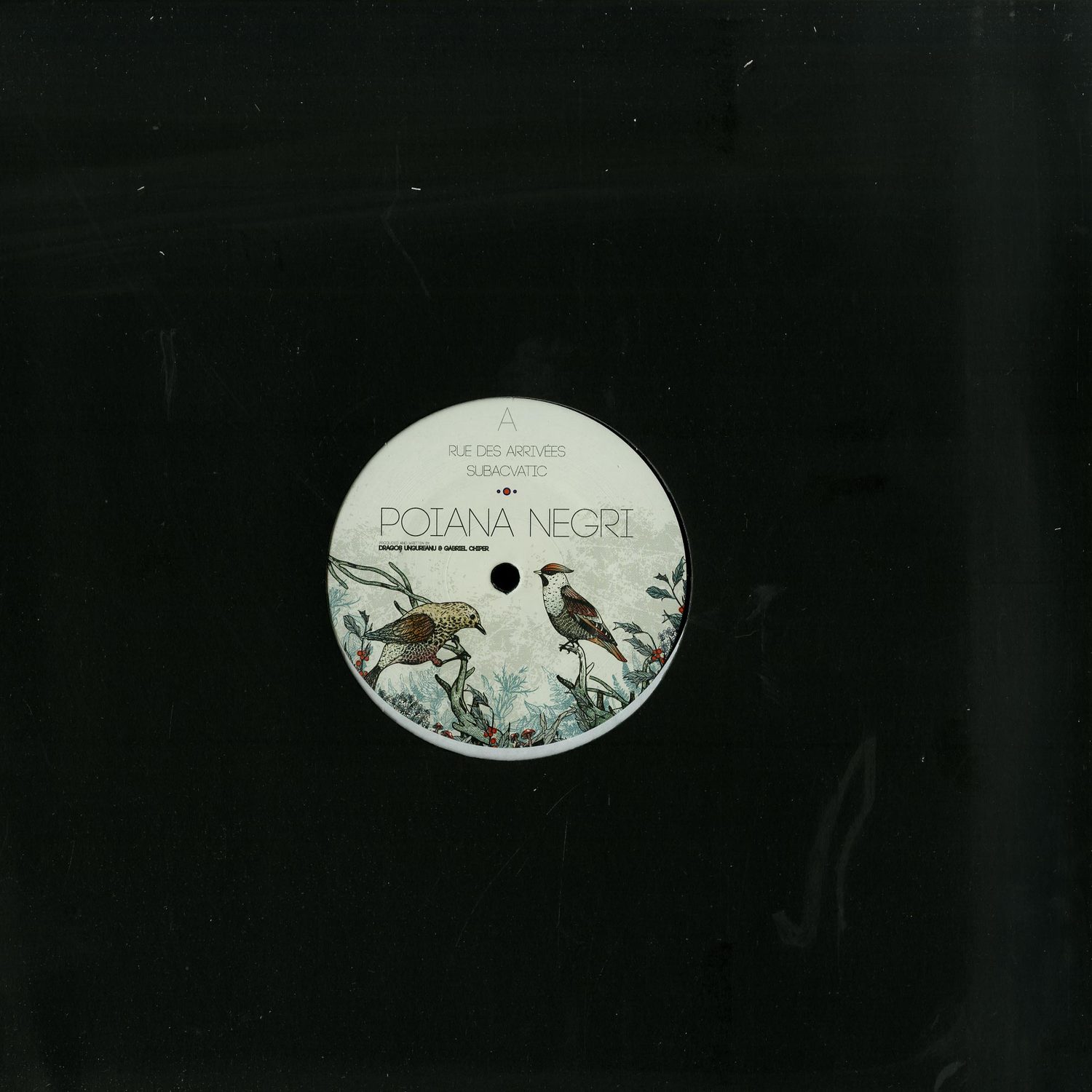 Poiana Negri - SUBACVATIC EP 