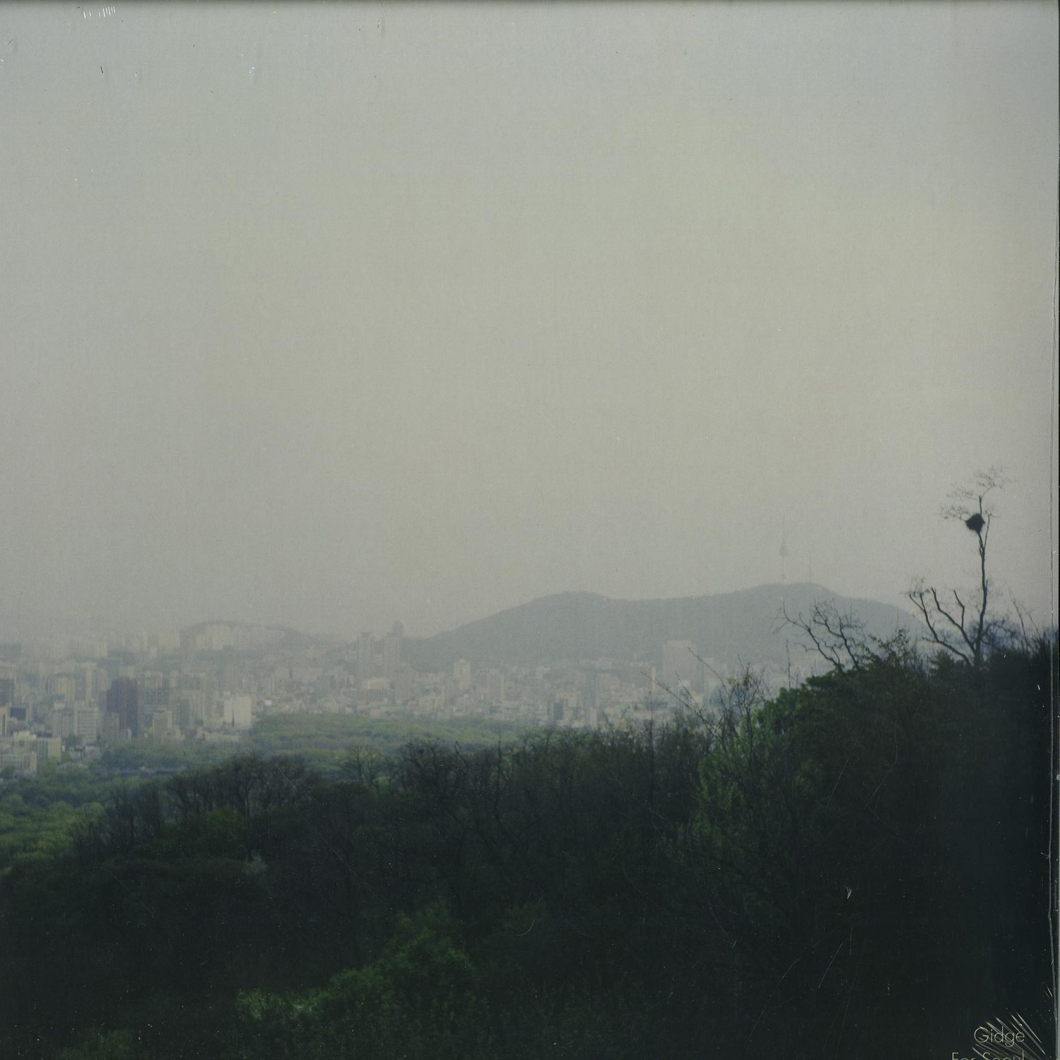 Gidge, Applescal - FOR SEOUL 