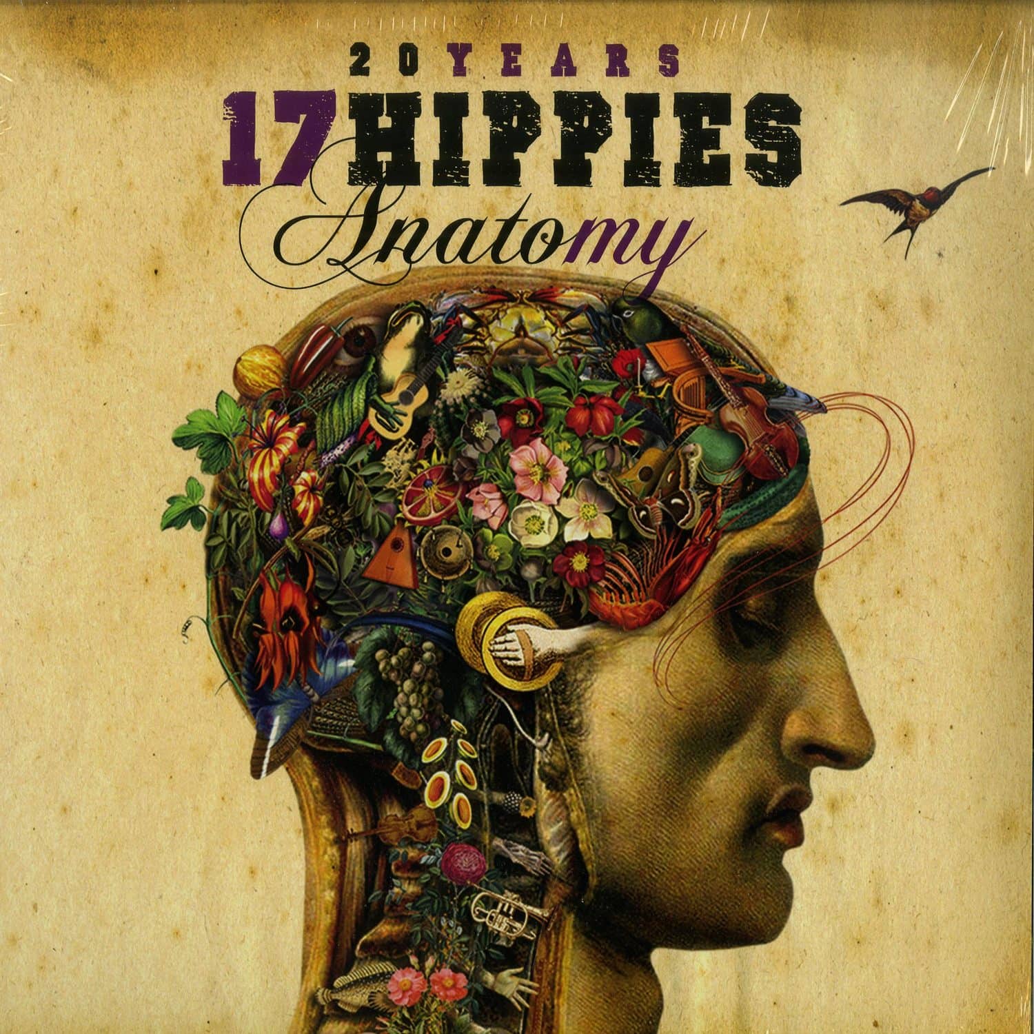 17 Hippies - ANATOMY 