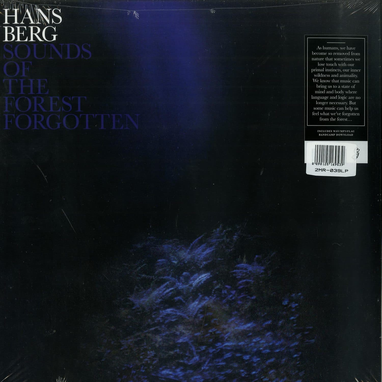 Hans Berg - SOUNDS OF THE FOREST FORGOTTEN 