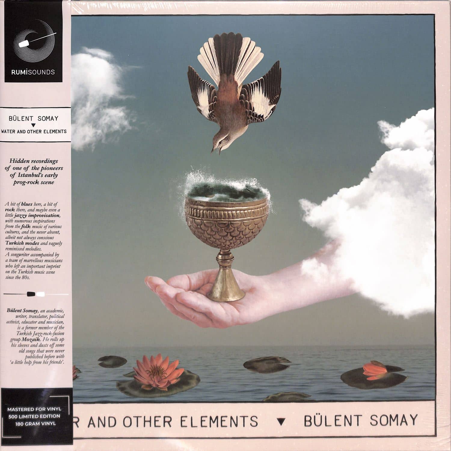 Bulent Somay - WATER AND OTHER ELEMENTS 
