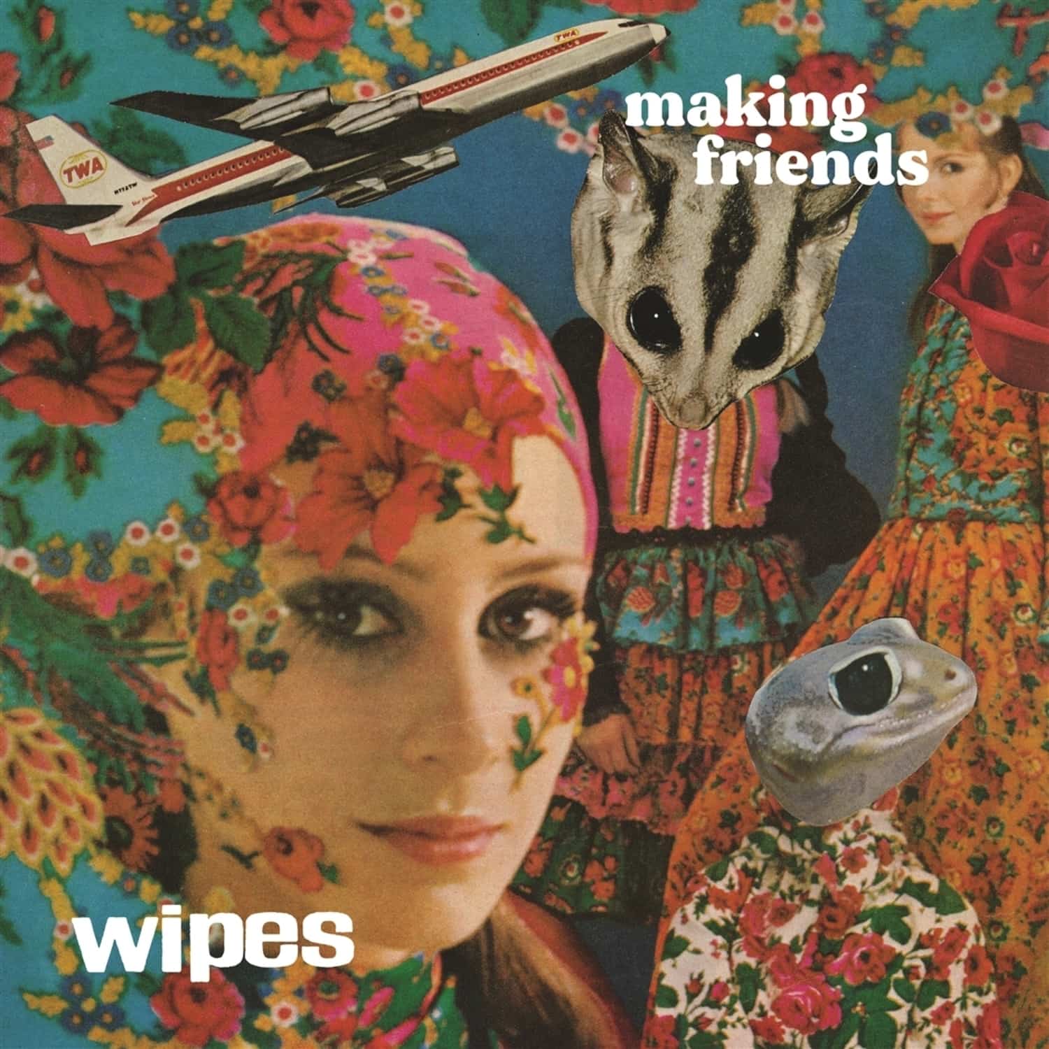 Wipes - MAKING FRIENDS 