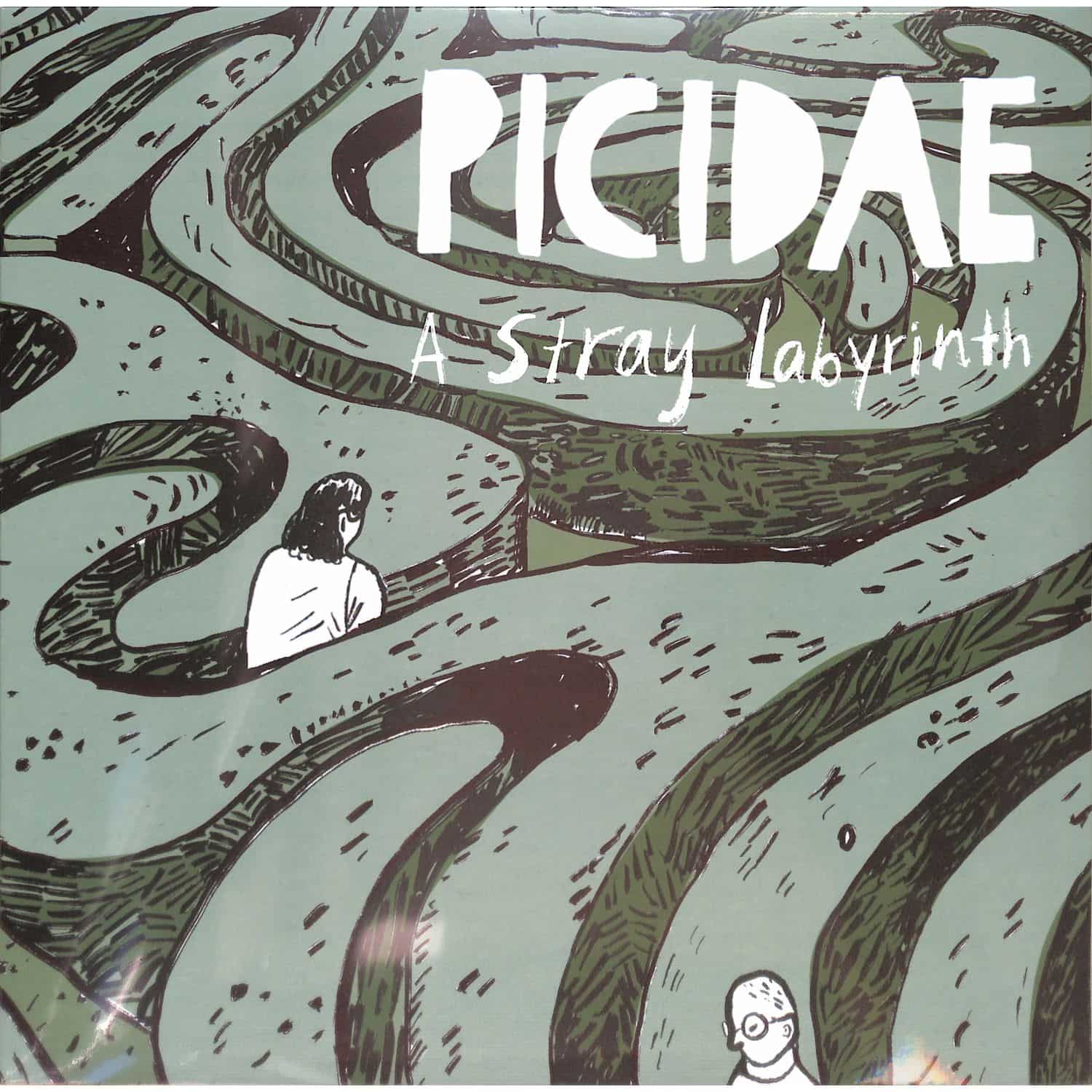 Picidae - A STRAY LABYRINTH 