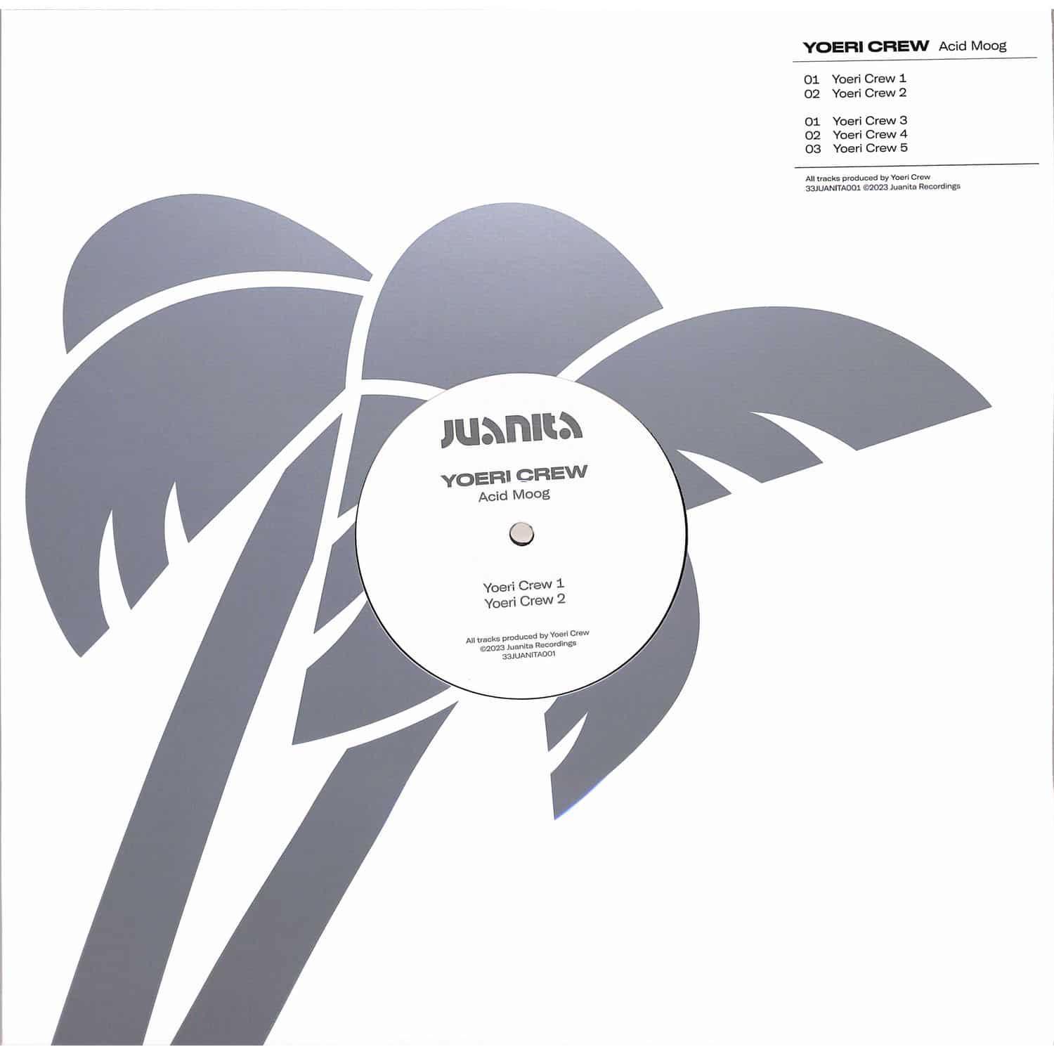 Yoeri Crew - ACID MOOG