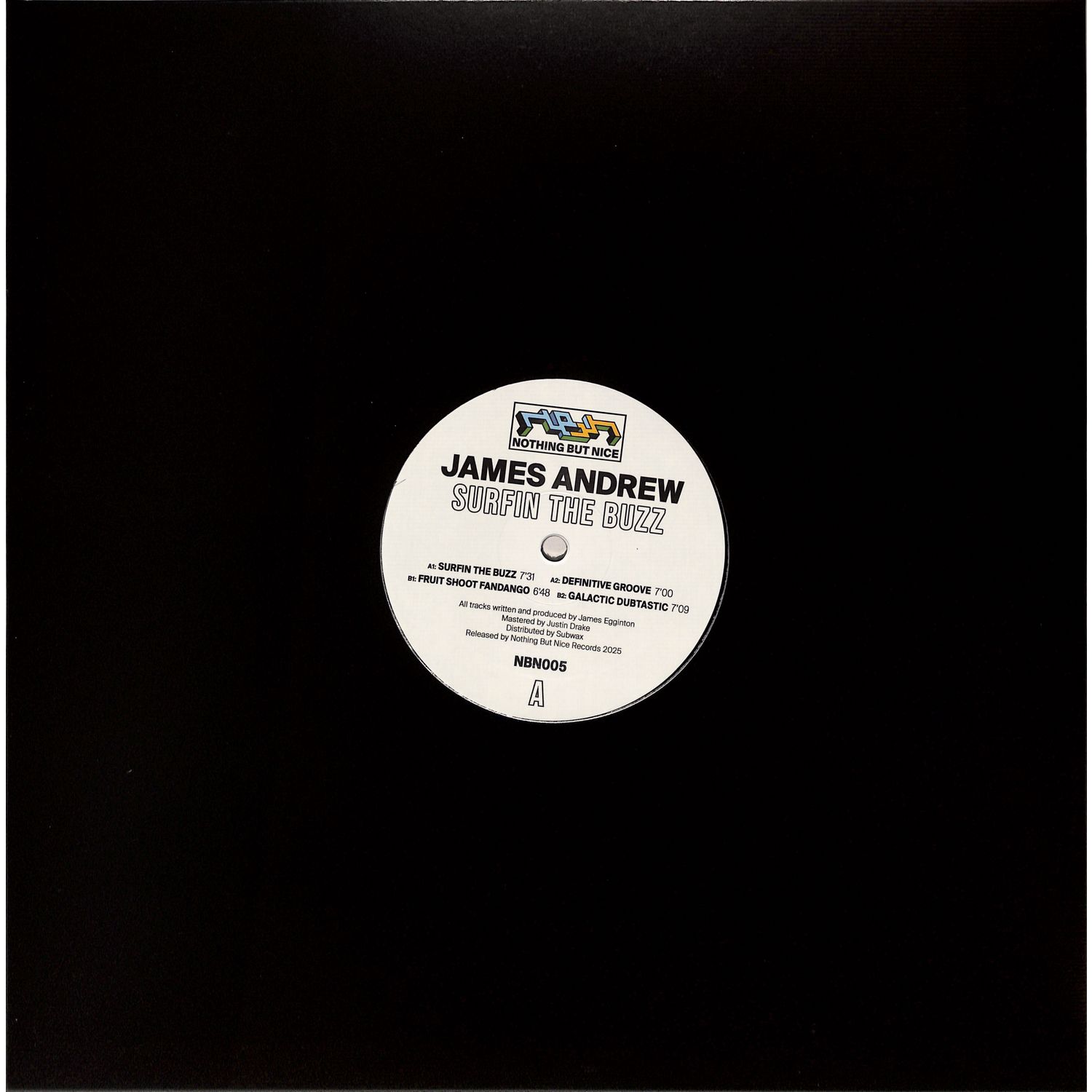 James Andrew - SURFIN THE BUZZ