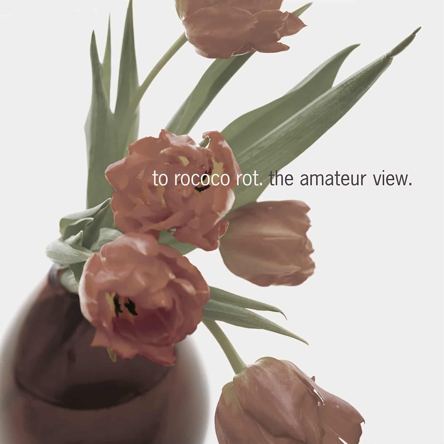 To Rococo Rot - THE AMATEUR VIEW 