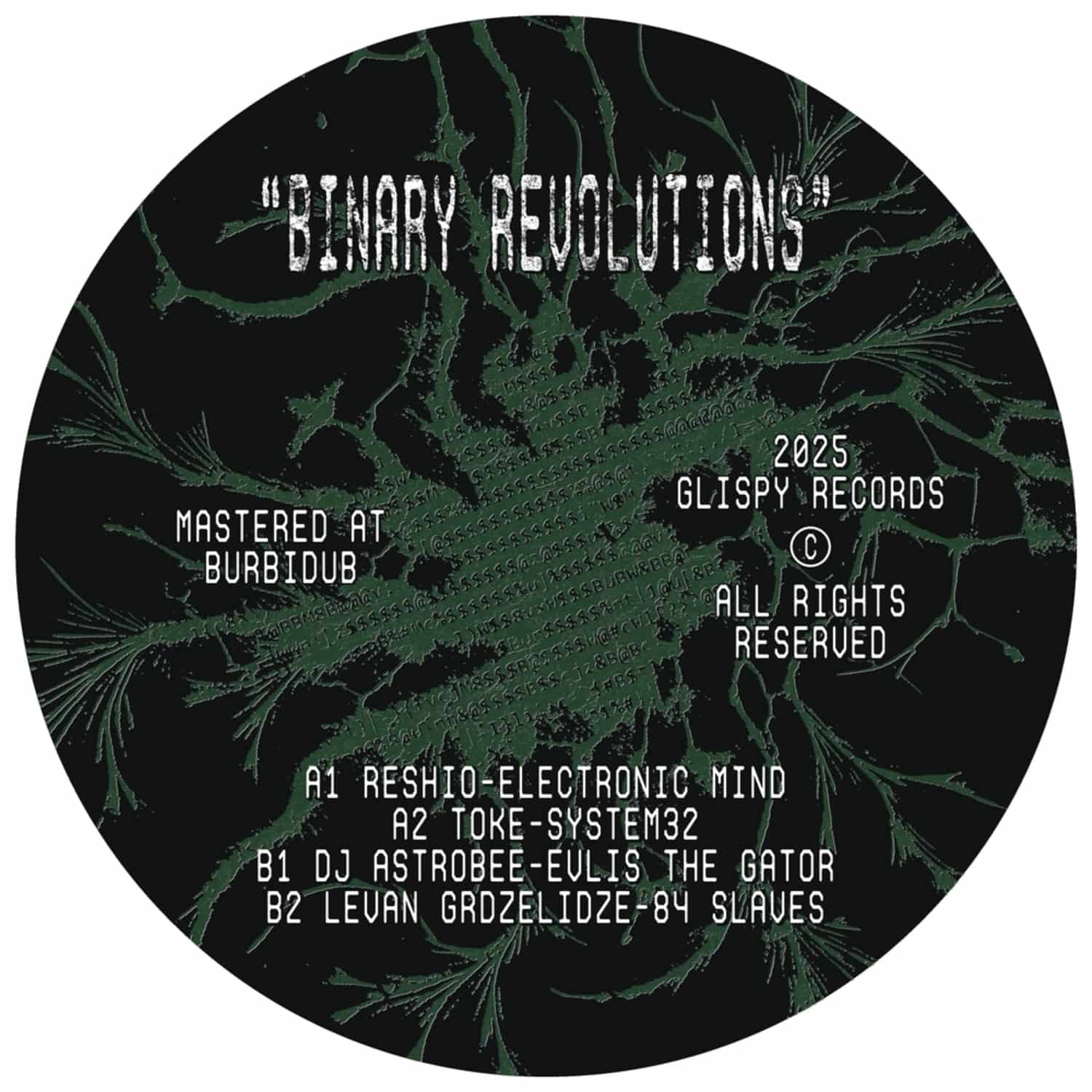 Various Artists - BINARY REVOLUTIONS
