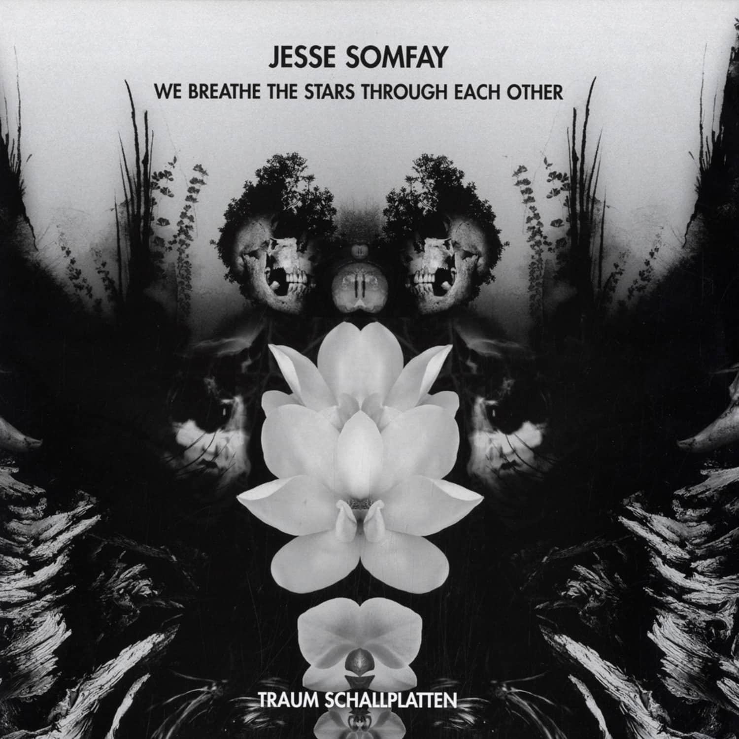Jesse Somfay - WE BREATHE THE STARS THROUGH EACH OTHER
