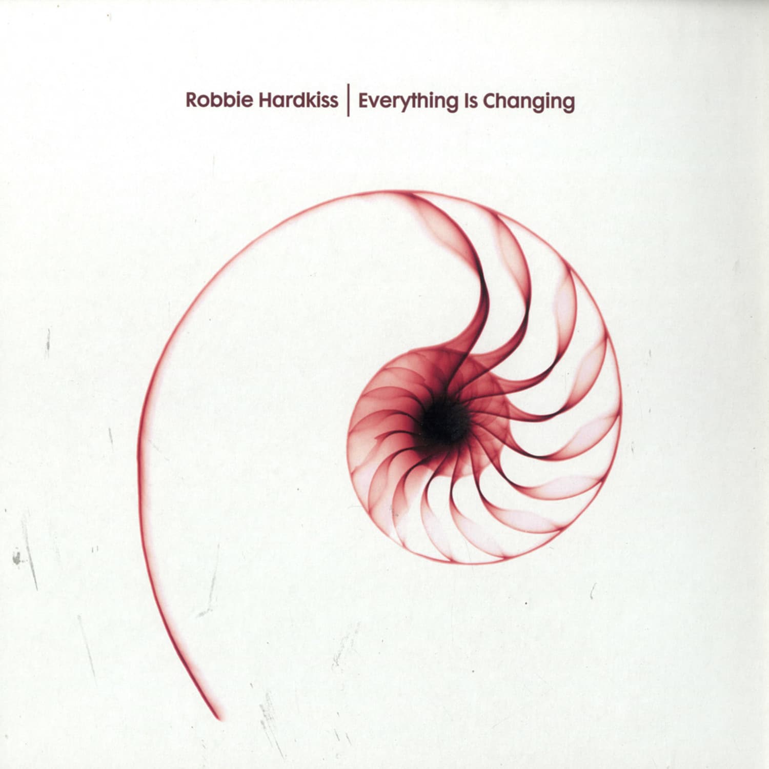 Robbie Hardkiss - EVERYTHING IS CHANGING