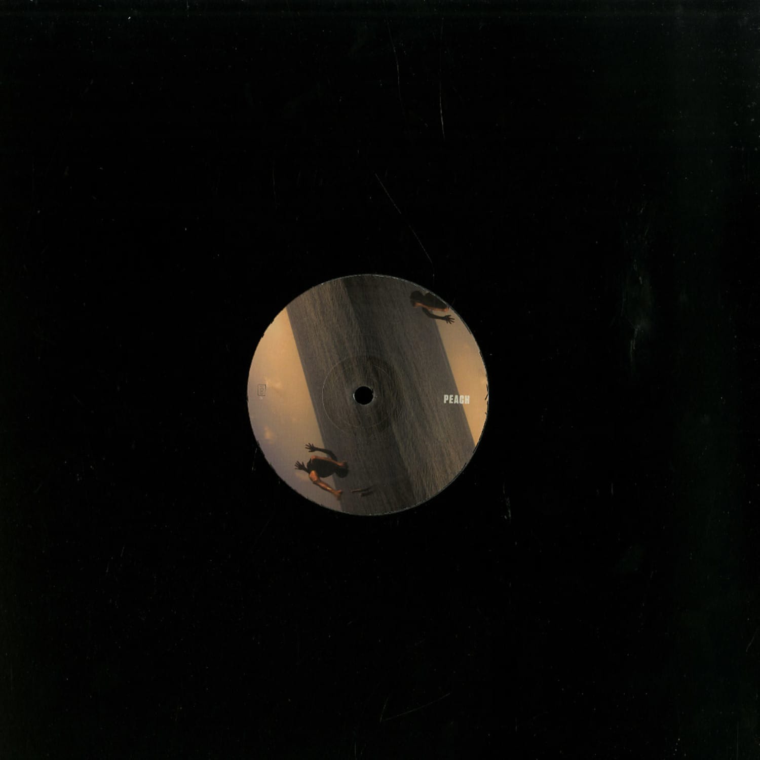 Cromie & Sage Caswell - VINES / PYREX