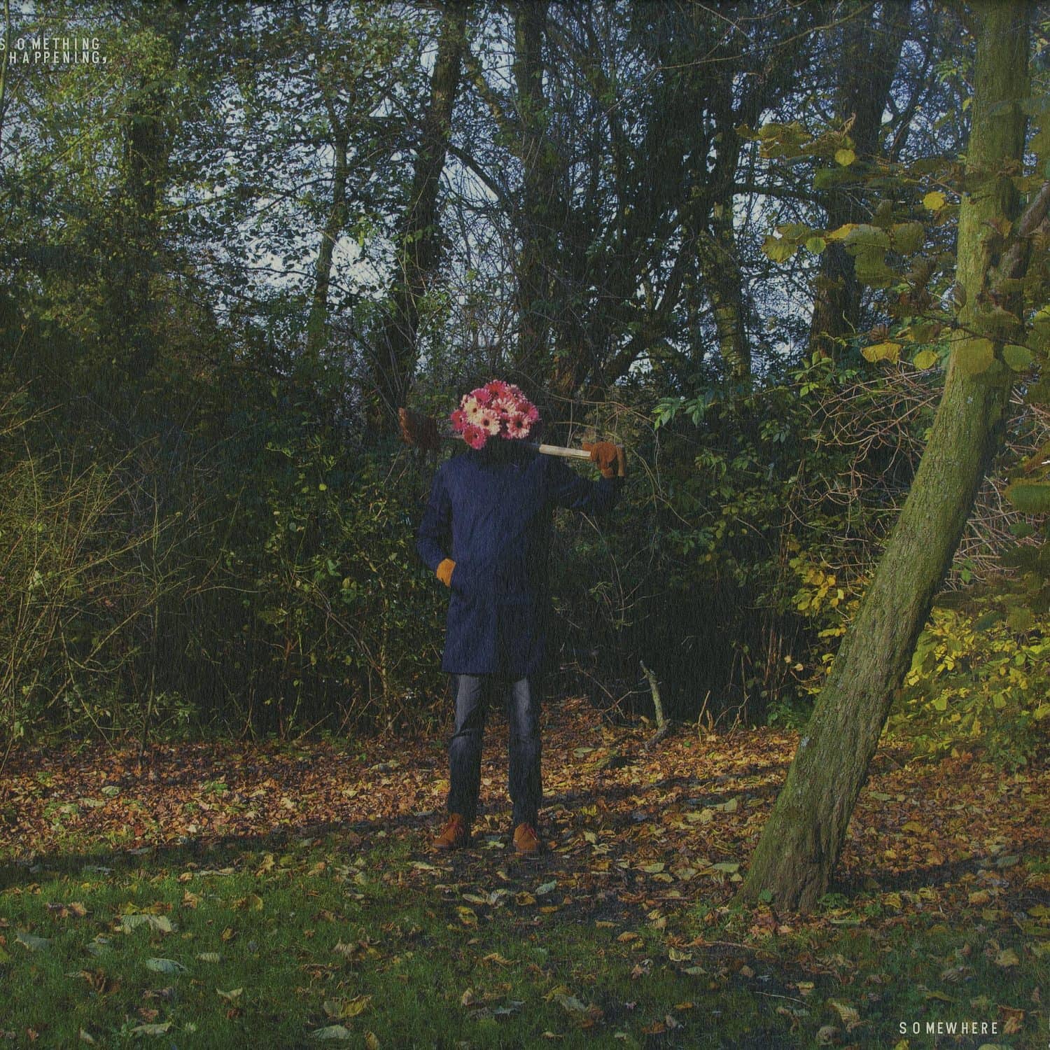 Love Over Entropy - TONII EP