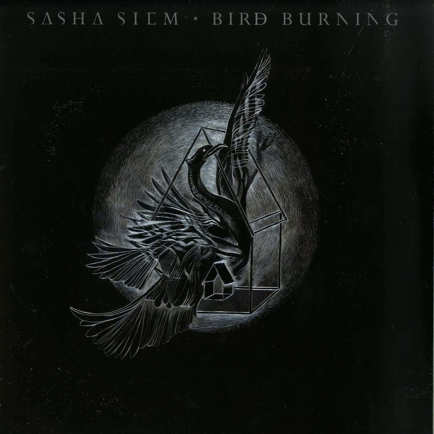 Sasha Siem - BIRD BURNING 