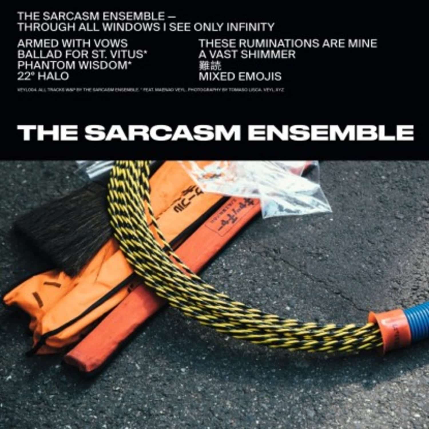 The Sarcasm Ensemble - THROUGH ALL WINDOWS I SEE ONLY INFINITY 