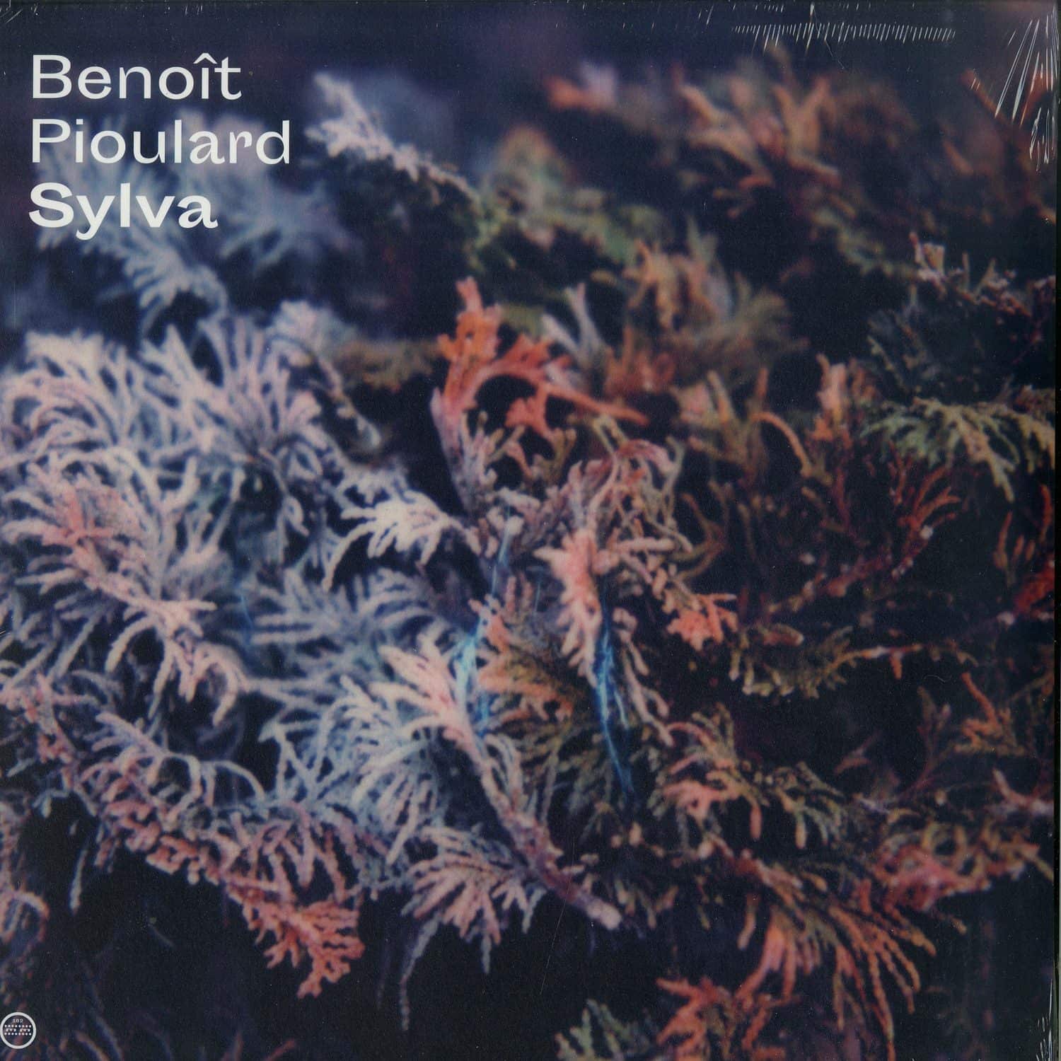 Benoit Pioulard - SYLVA 