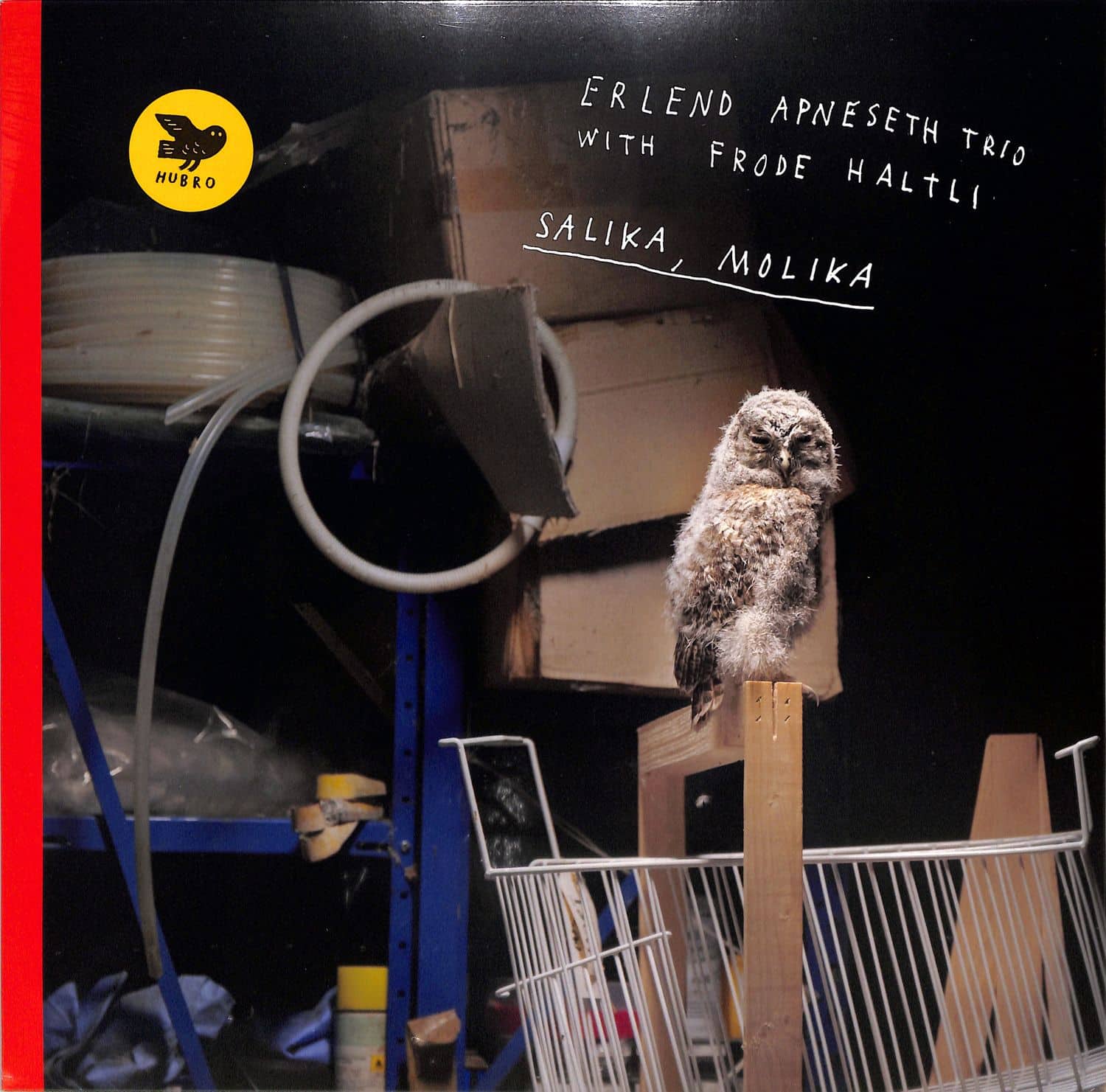 Erlend Apneseth Trio with Frode Haltli - SALIKA, MOLIKA 
