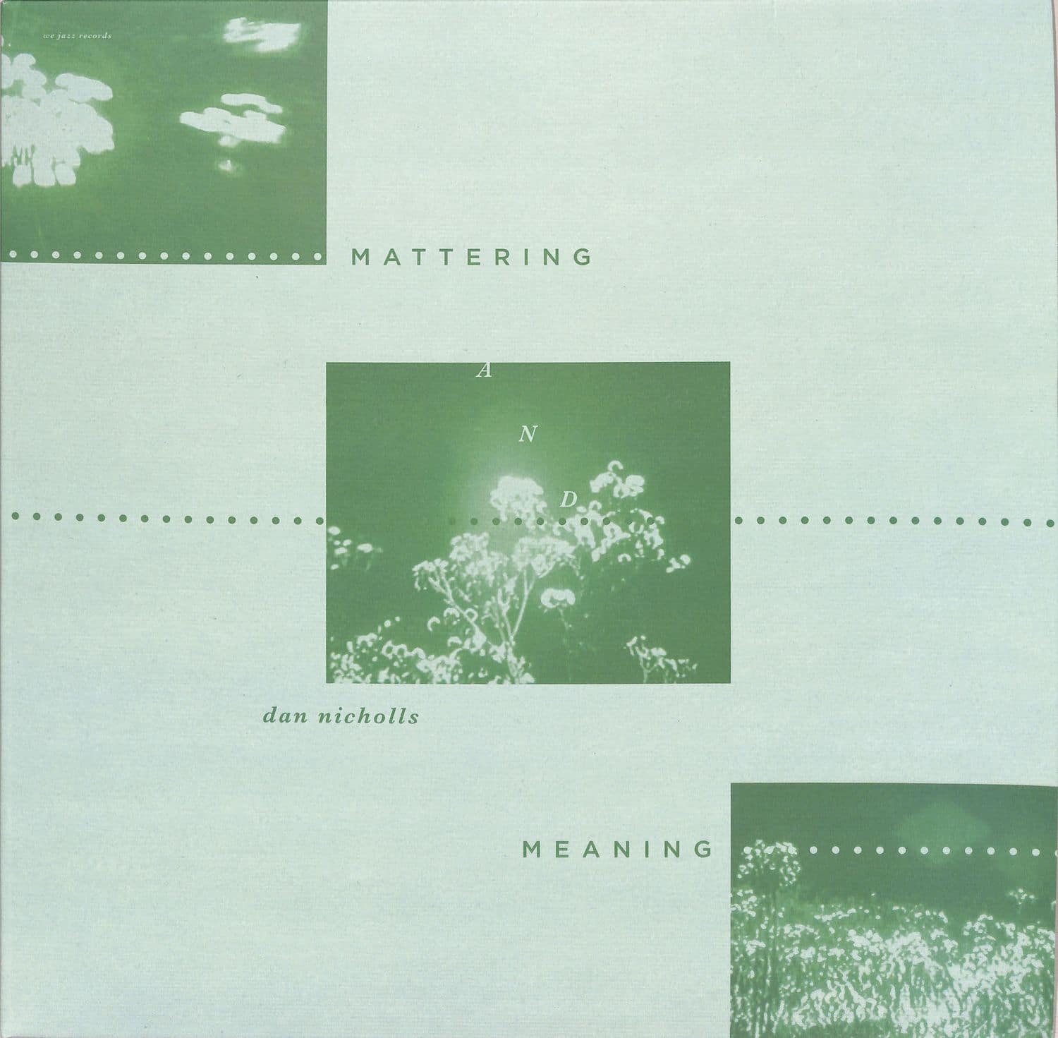 Dan Nicholls - MATTERING AND MEANING 