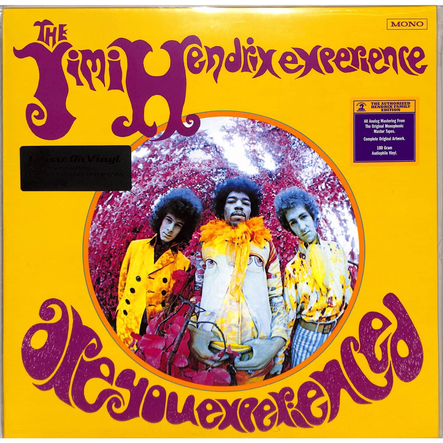 Jimi Hendrix Experience - ARE YOU EXPERIENCED 