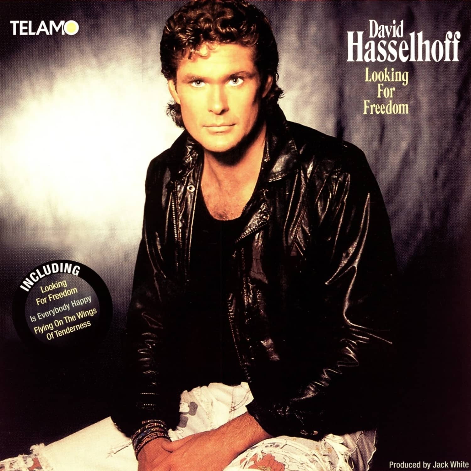 David Hasselhoff - LOOKING FOR FREEDOM 