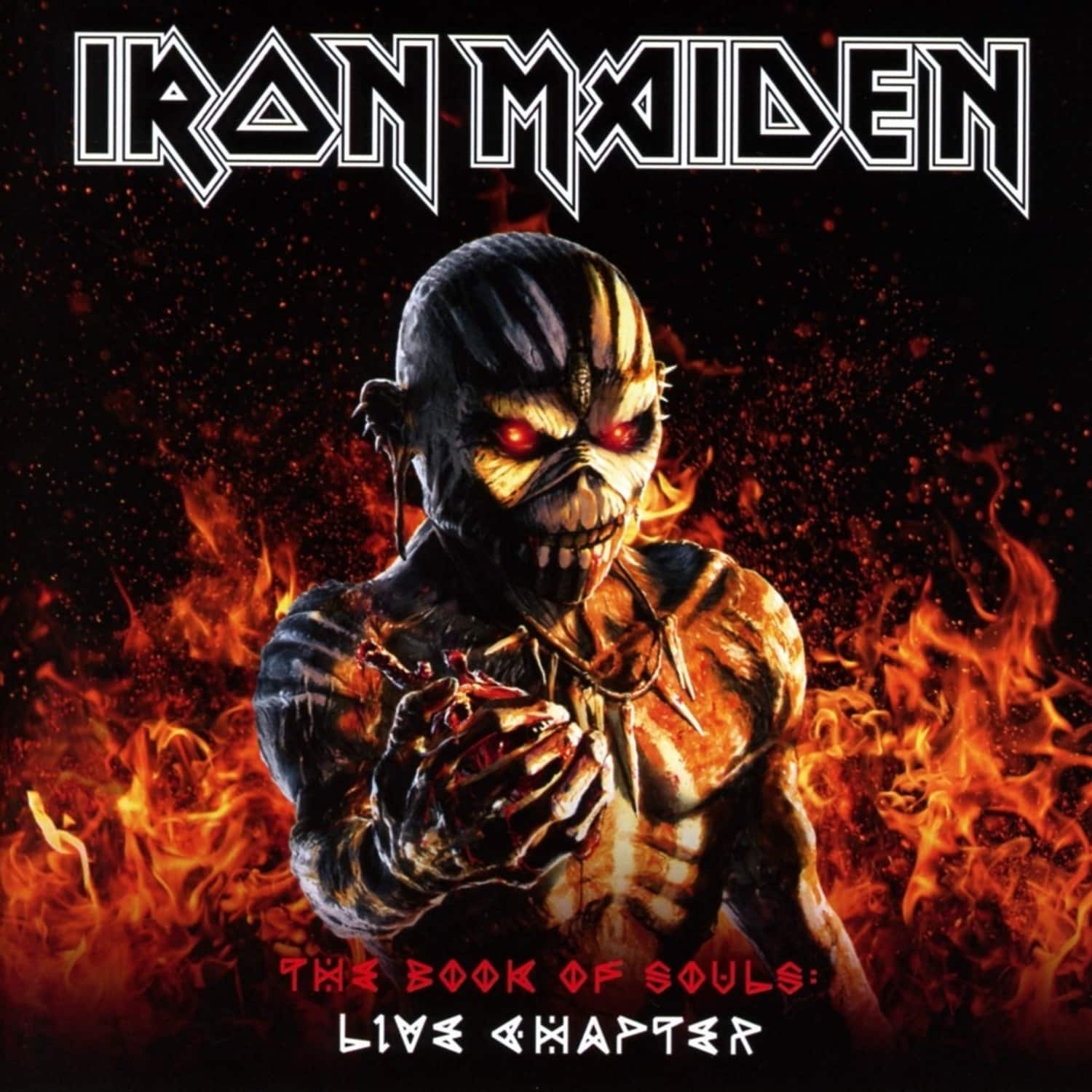 Iron Maiden - THE BOOK OF SOULS:LIVE CHAPTER 