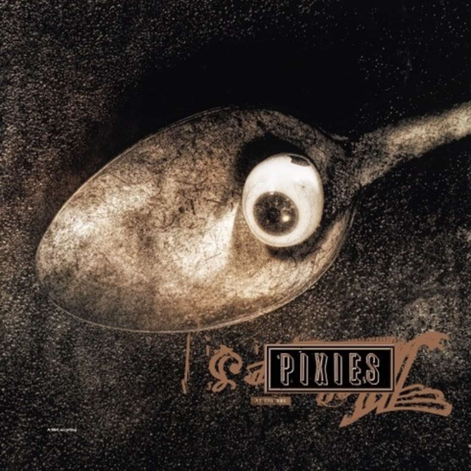 Pixies - LIVE AT BBC 